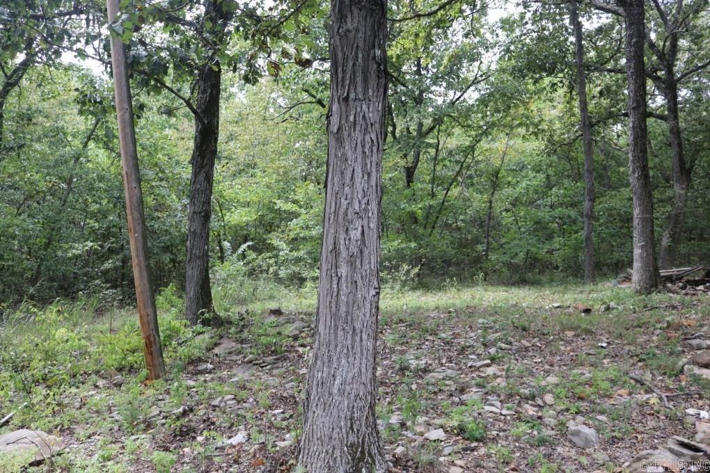 121  Wickham  Mountain View, AR