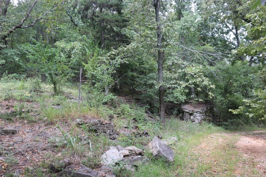 121  Wickham  Mountain View, AR