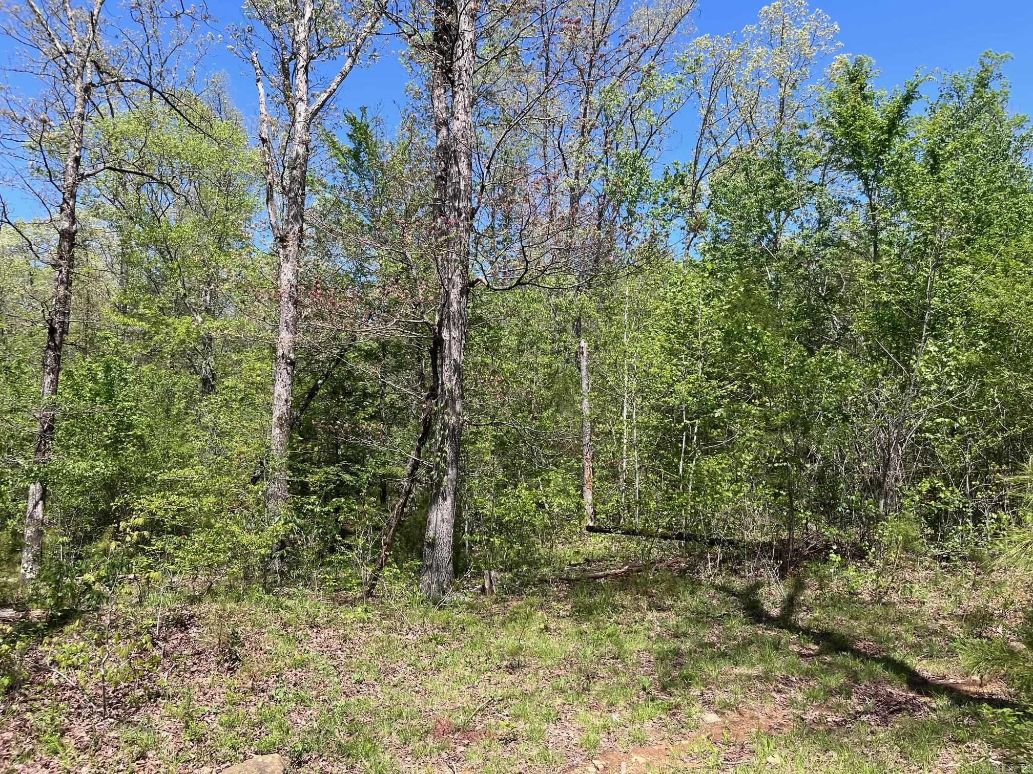  9  Clinton, AR