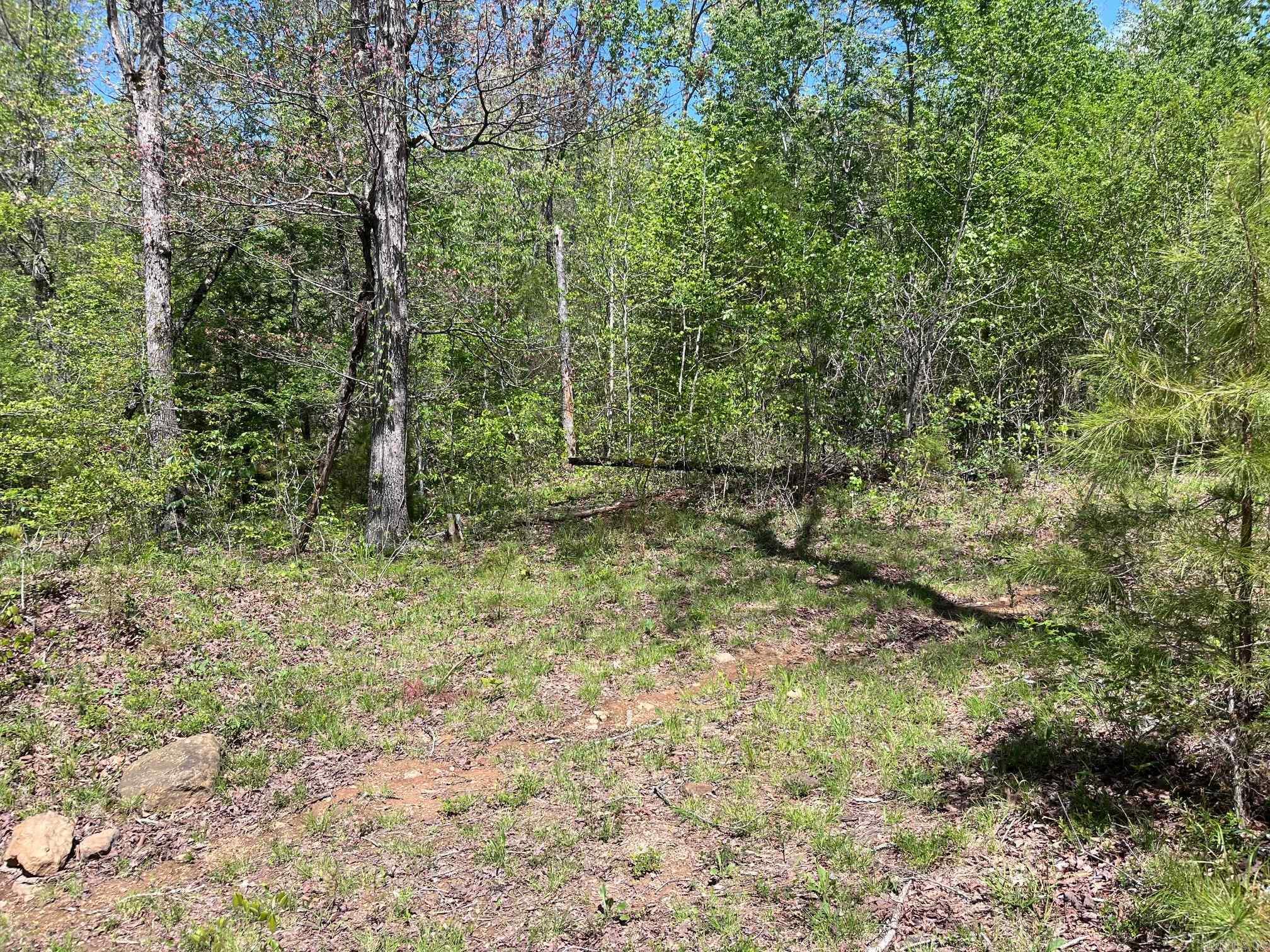   9  Clinton, AR