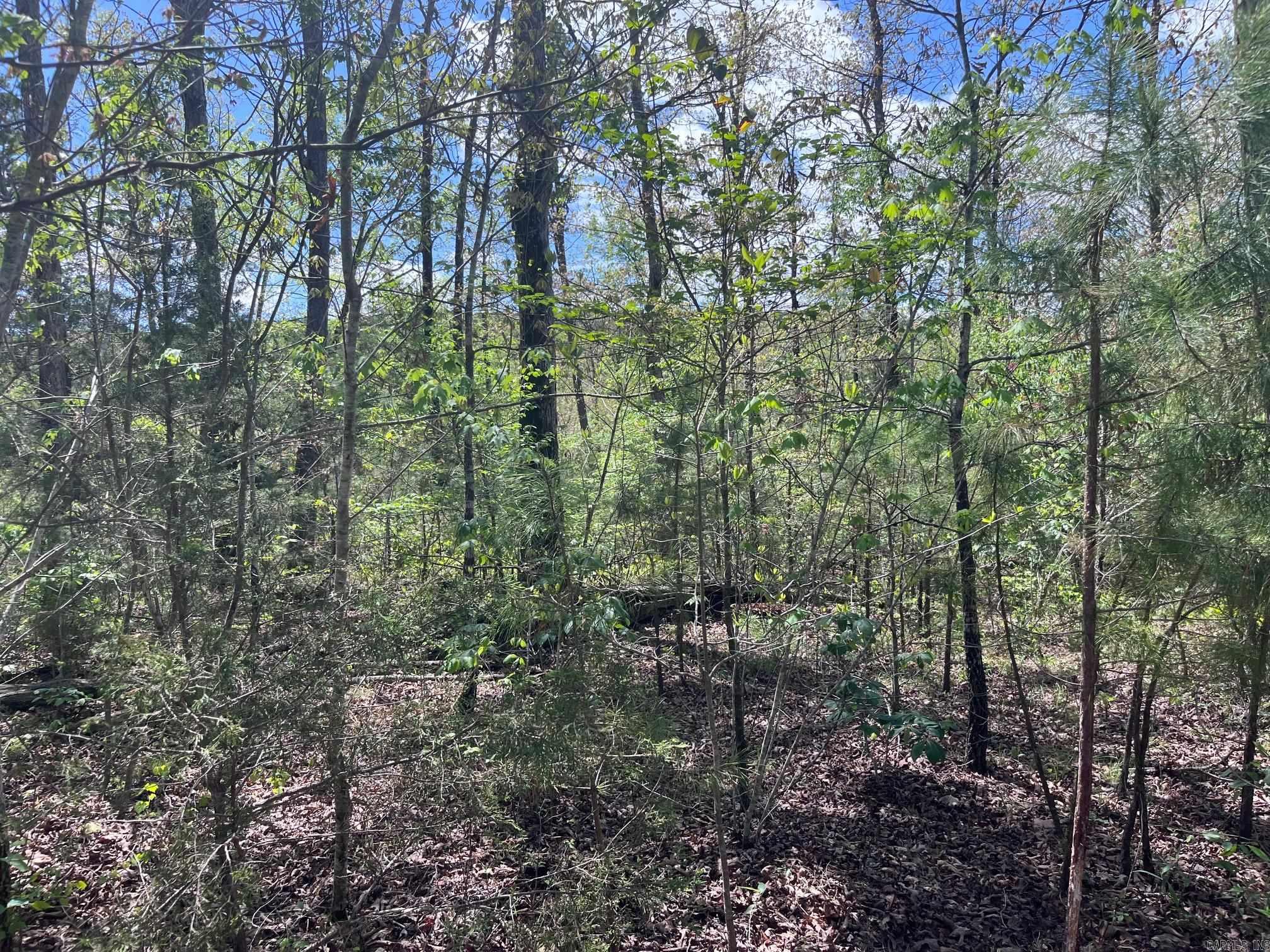  9  Clinton, AR