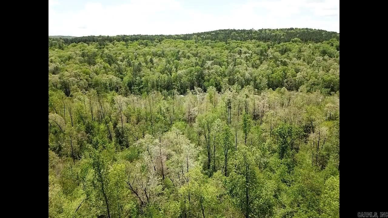   9  Clinton, AR