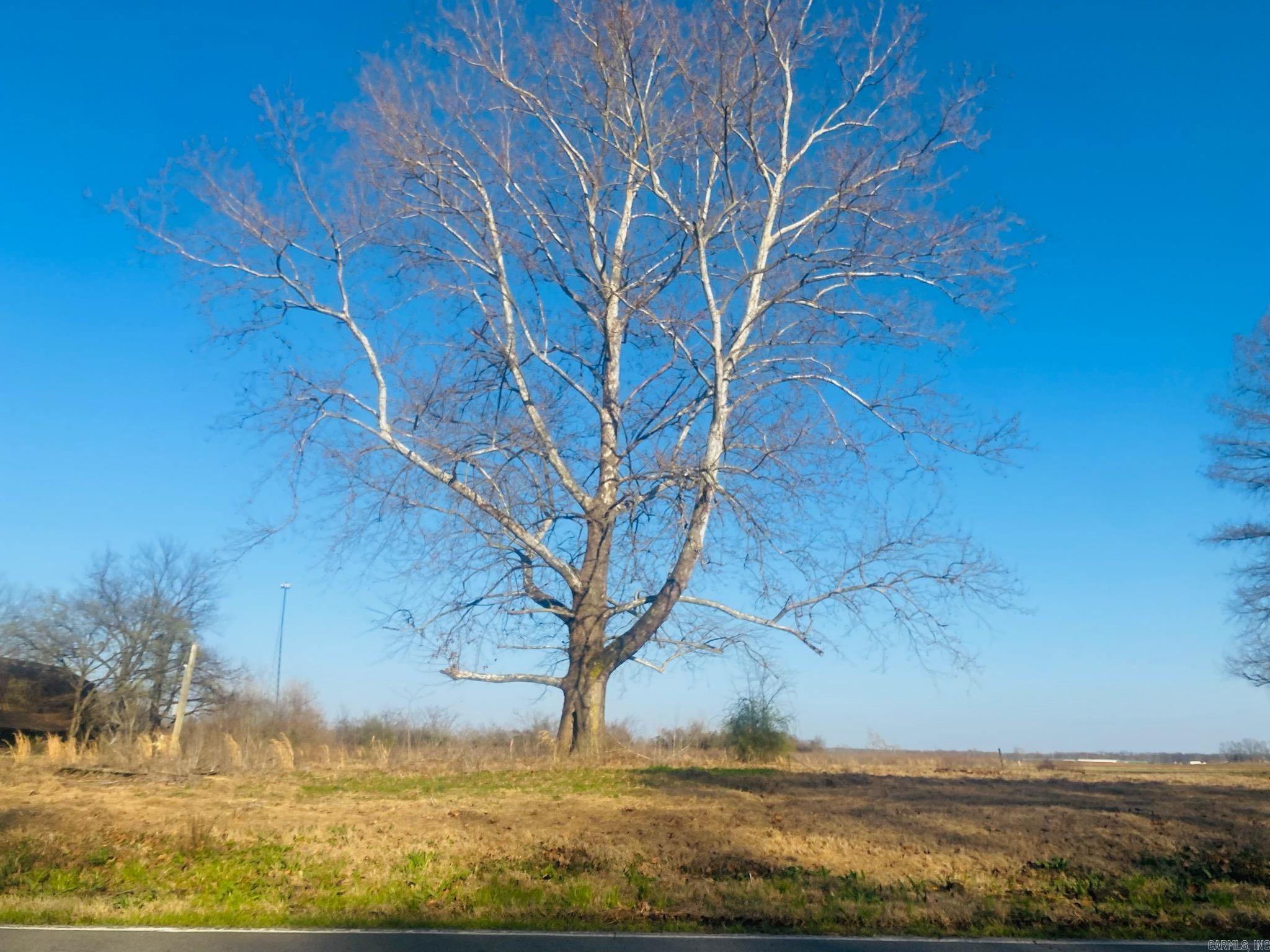 525  Hwy 161 Tract 2 Scott, AR