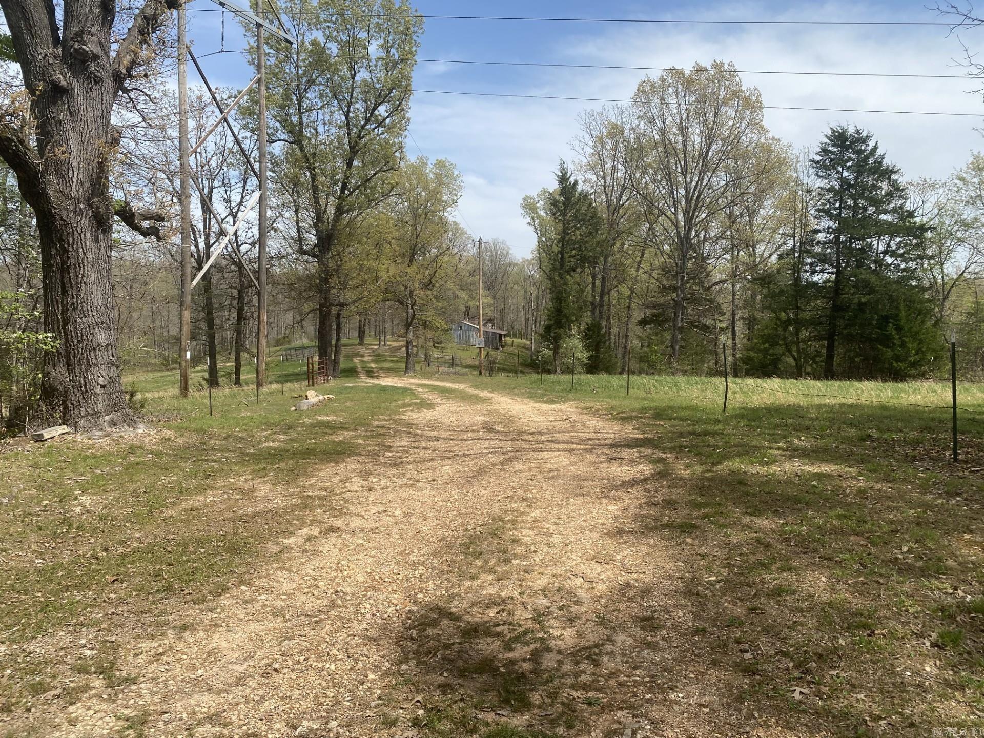 237  Pride and Joy Lane  Saint Joe, AR