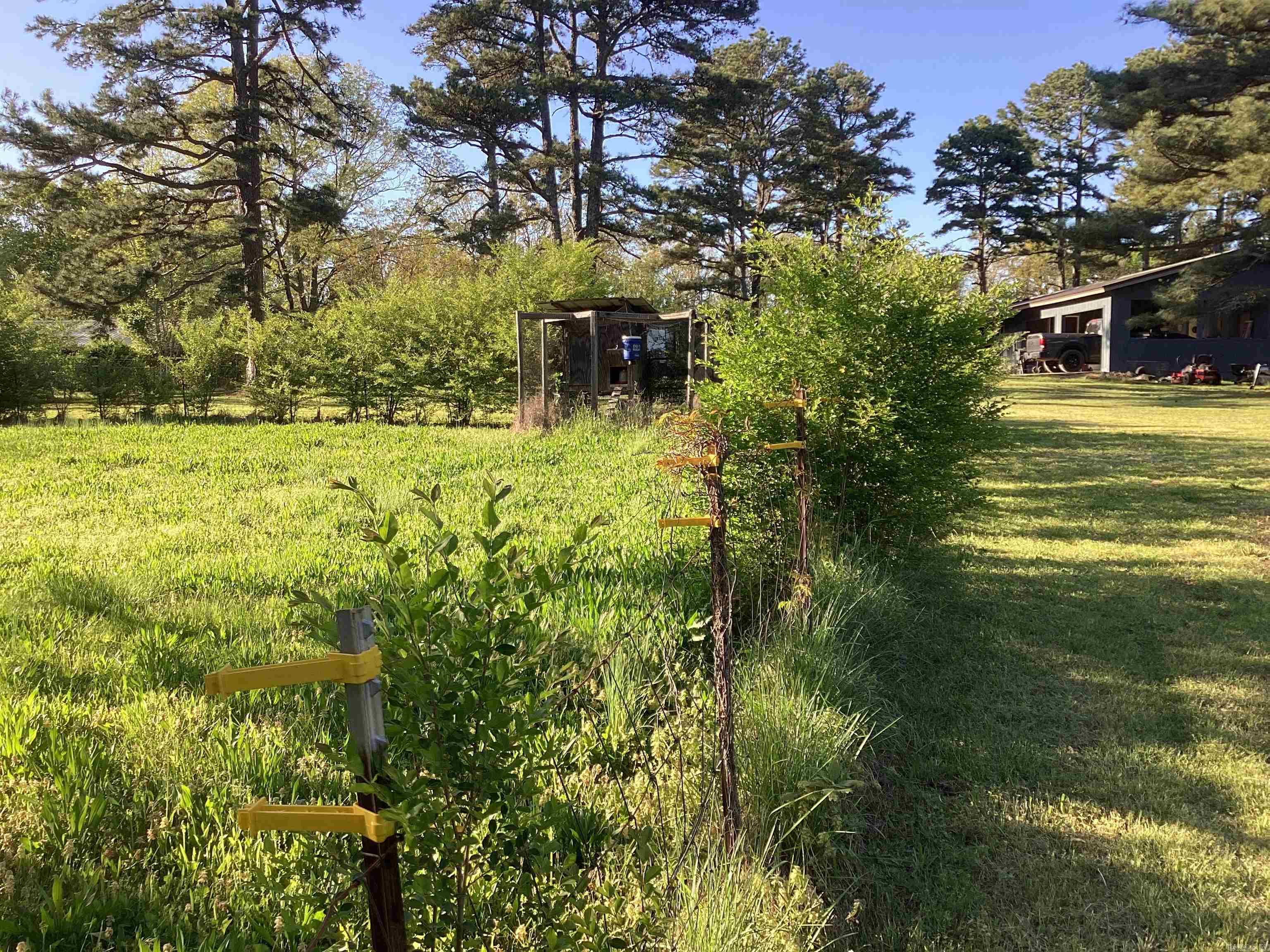195  Pine Ridge Rd  Rose Bud, AR