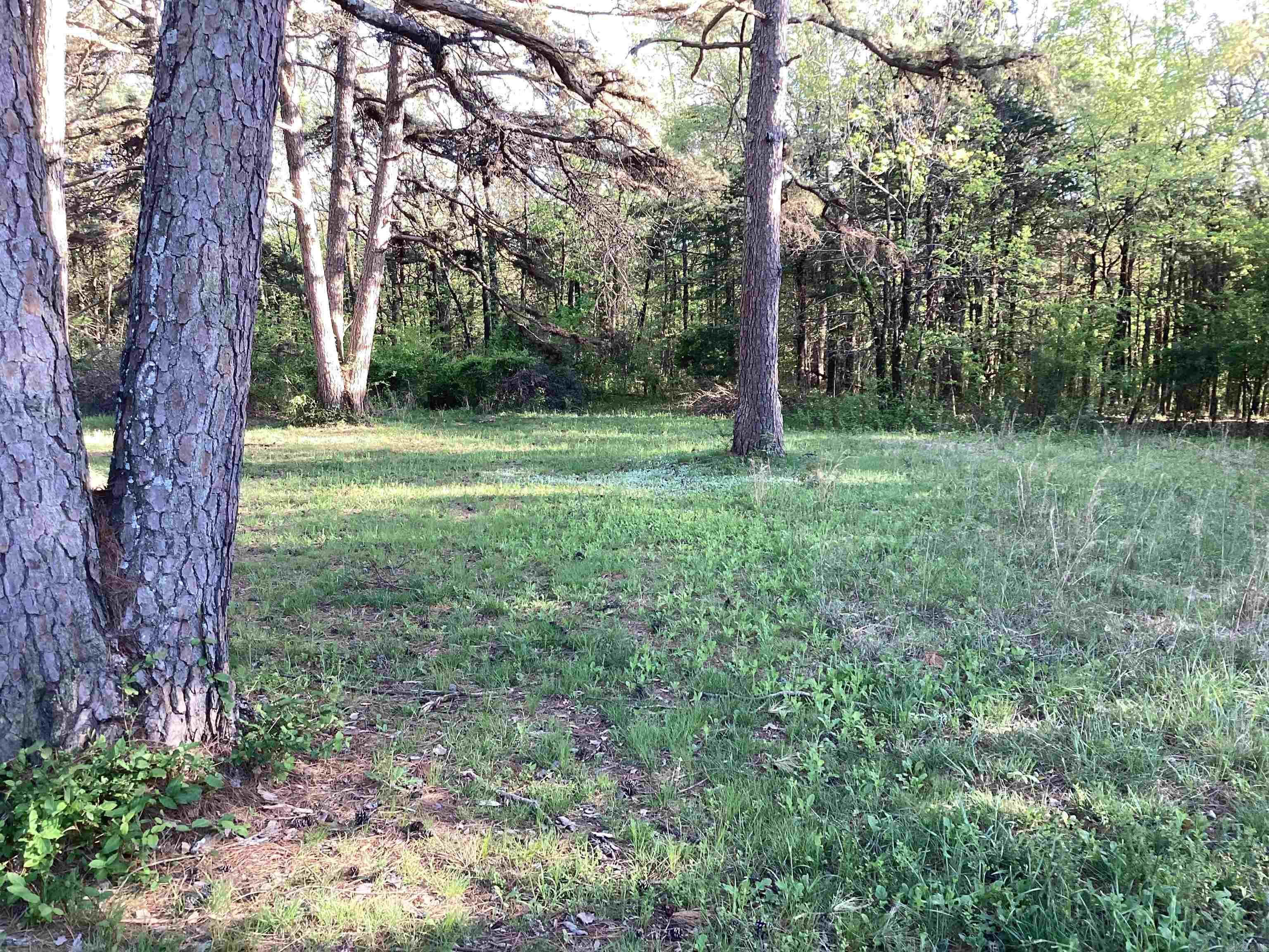 195  Pine Ridge Rd  Rose Bud, AR