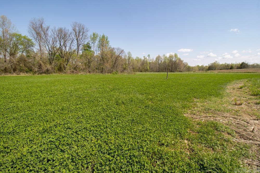 9  County Road 422  Boydsville, AR