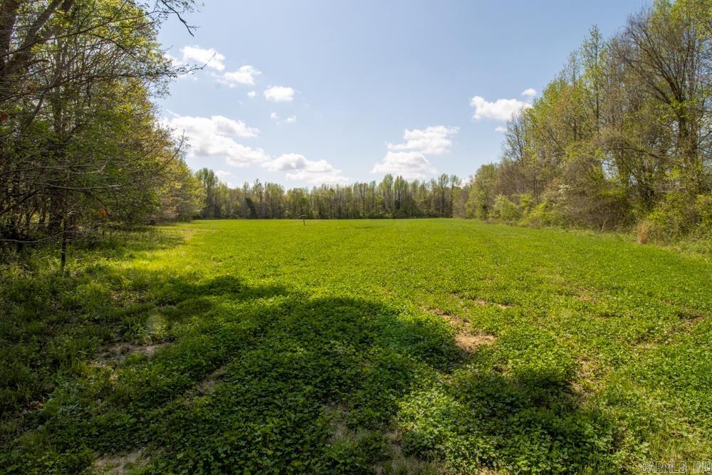 9  County Road 422  Boydsville, AR