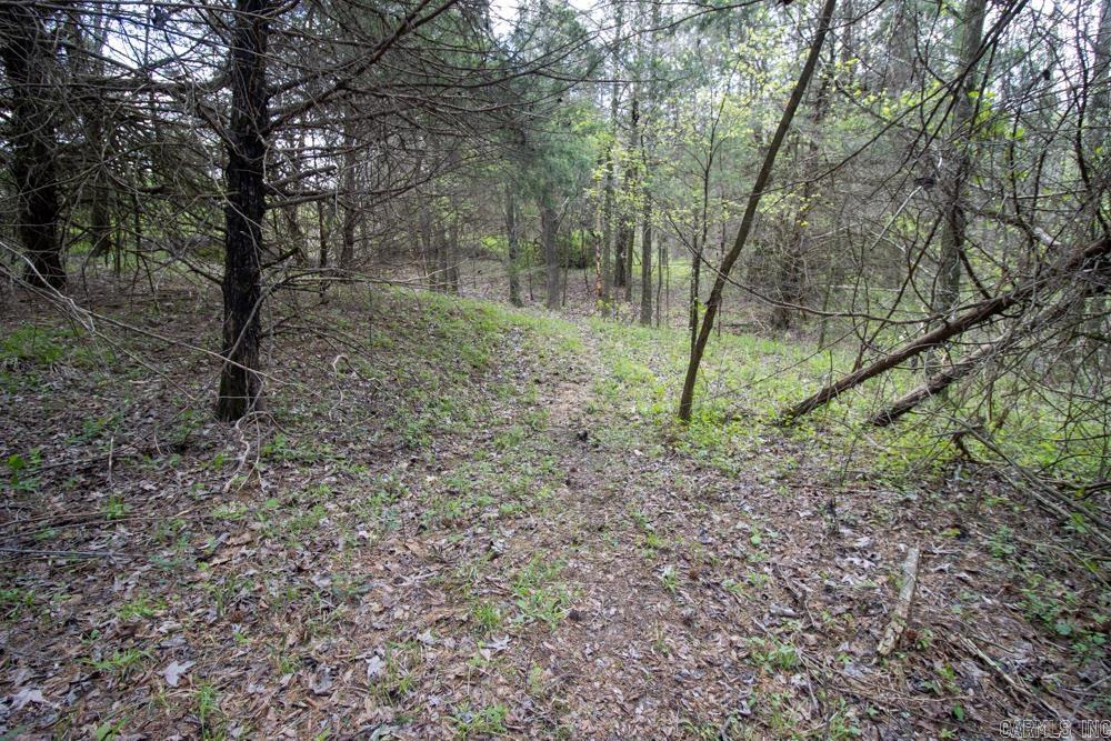 9  County Road 422  Boydsville, AR
