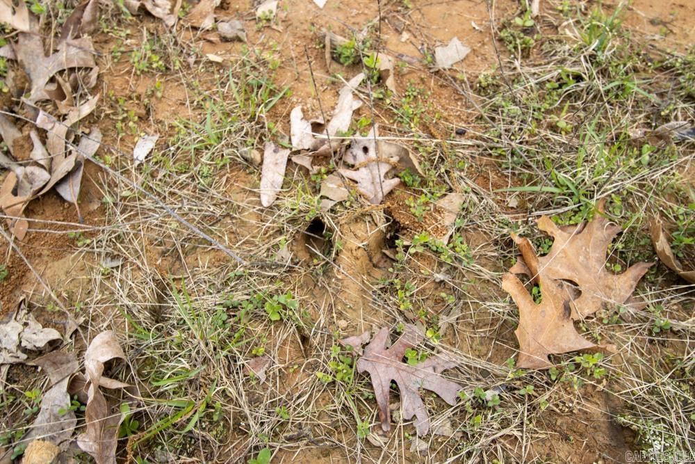 9  County Road 422  Boydsville, AR