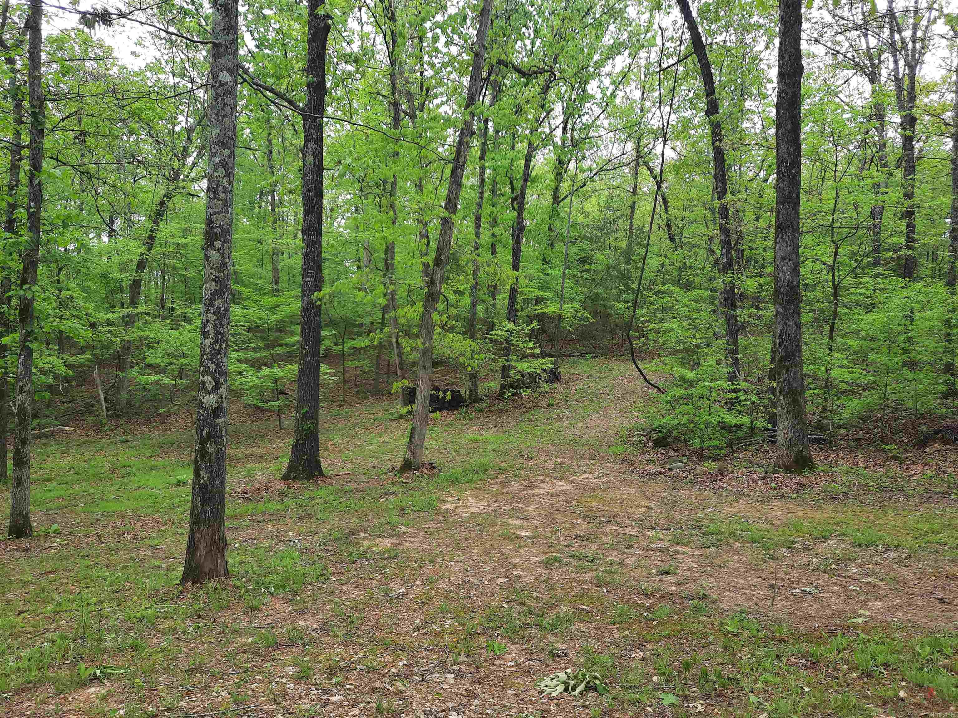 3986 Oak Grove Loop Mountain View, AR 72560