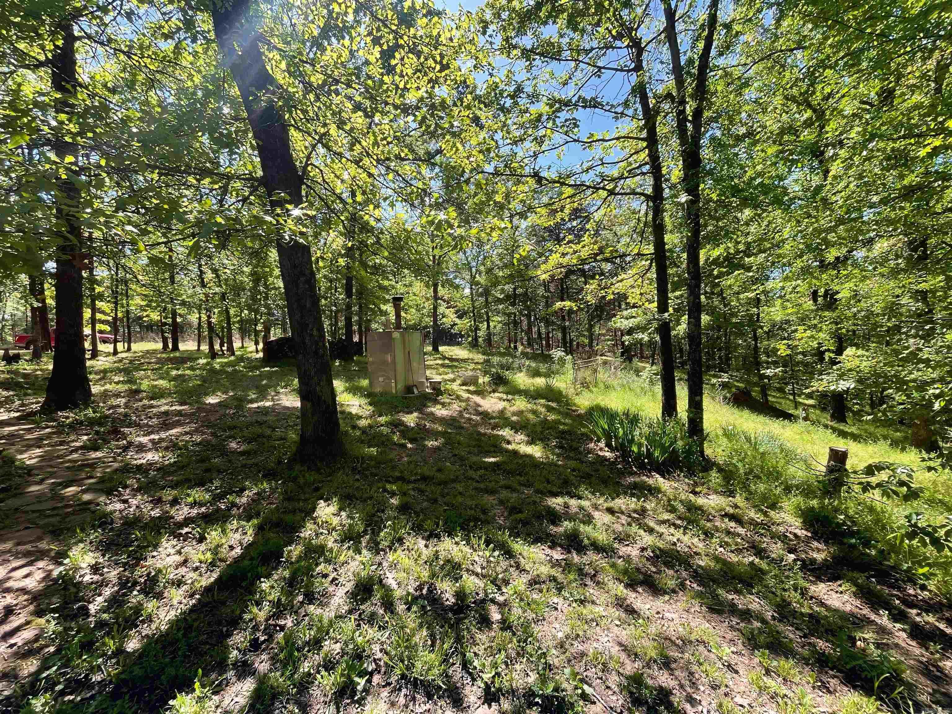 19 Levee Rd Road Solgohachia, AR 72156