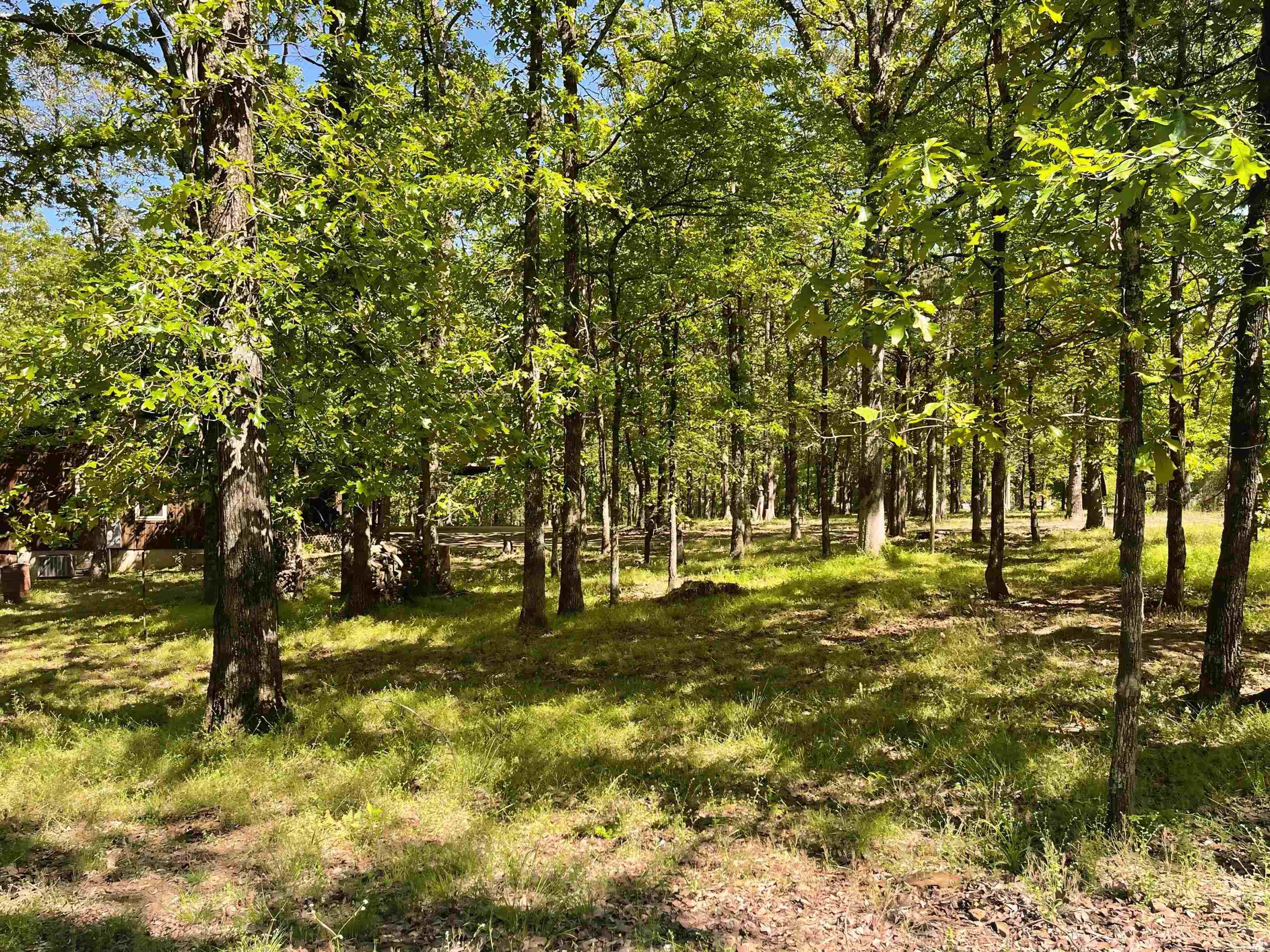 19 Levee Rd Road Solgohachia, AR 72156