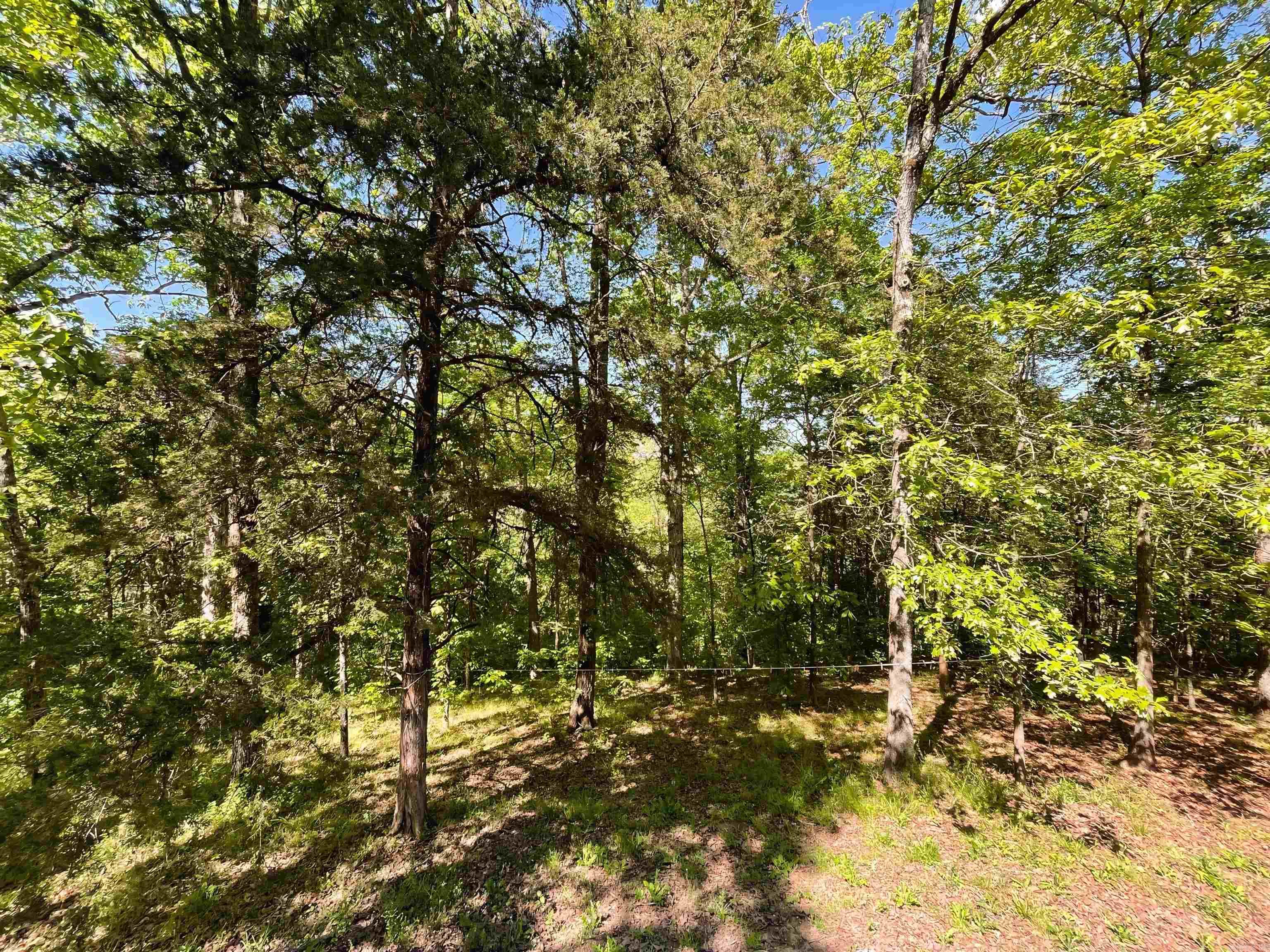 19 Levee Rd Road Solgohachia, AR 72156