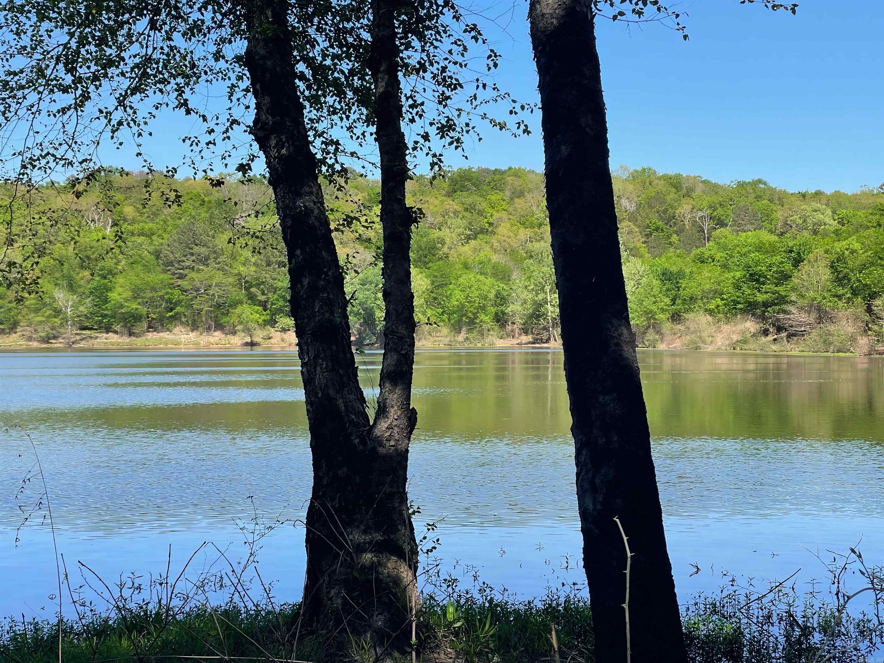 19 Levee Rd Road Solgohachia, AR 72156