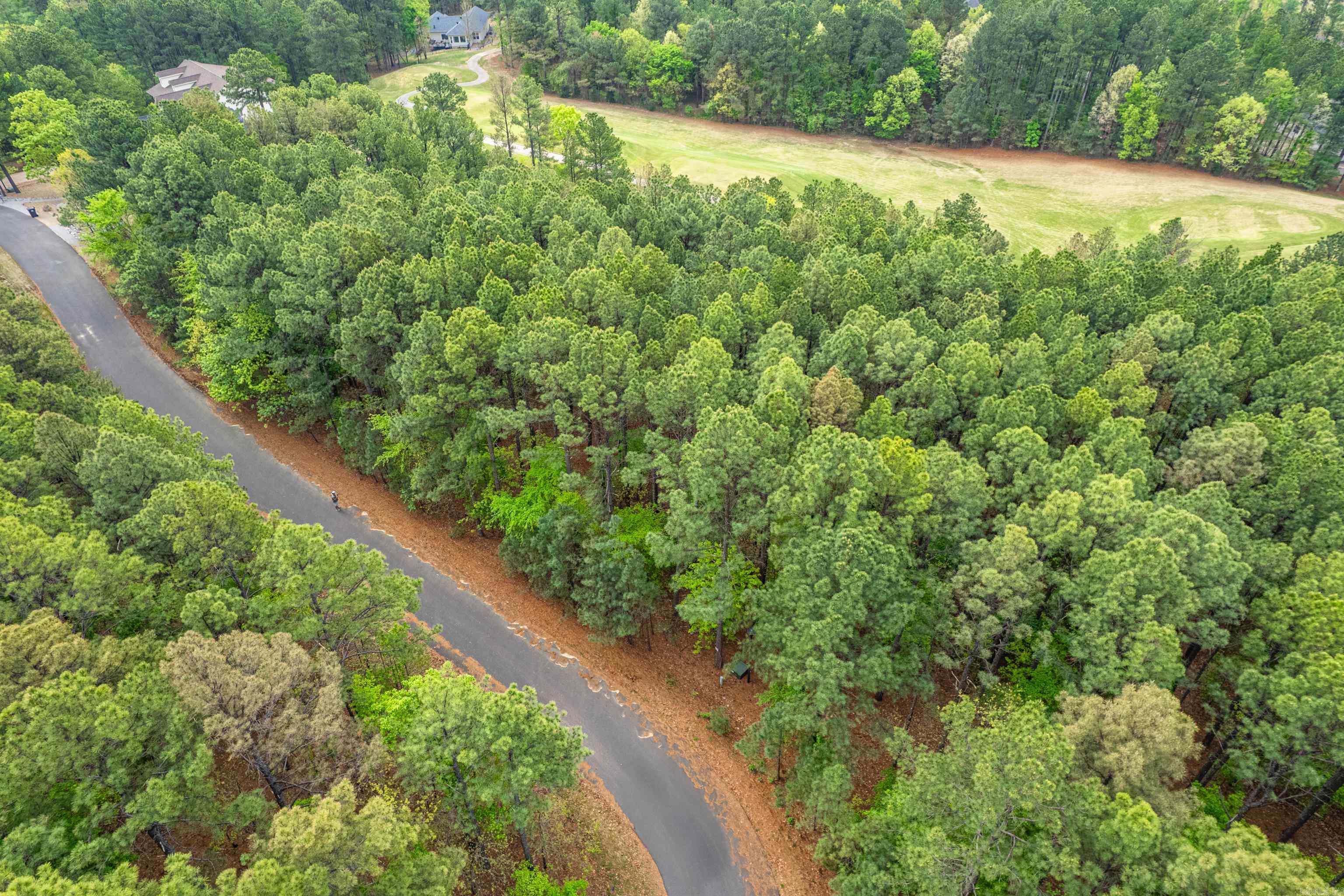 52  Altiplano  Hot Springs Village, AR