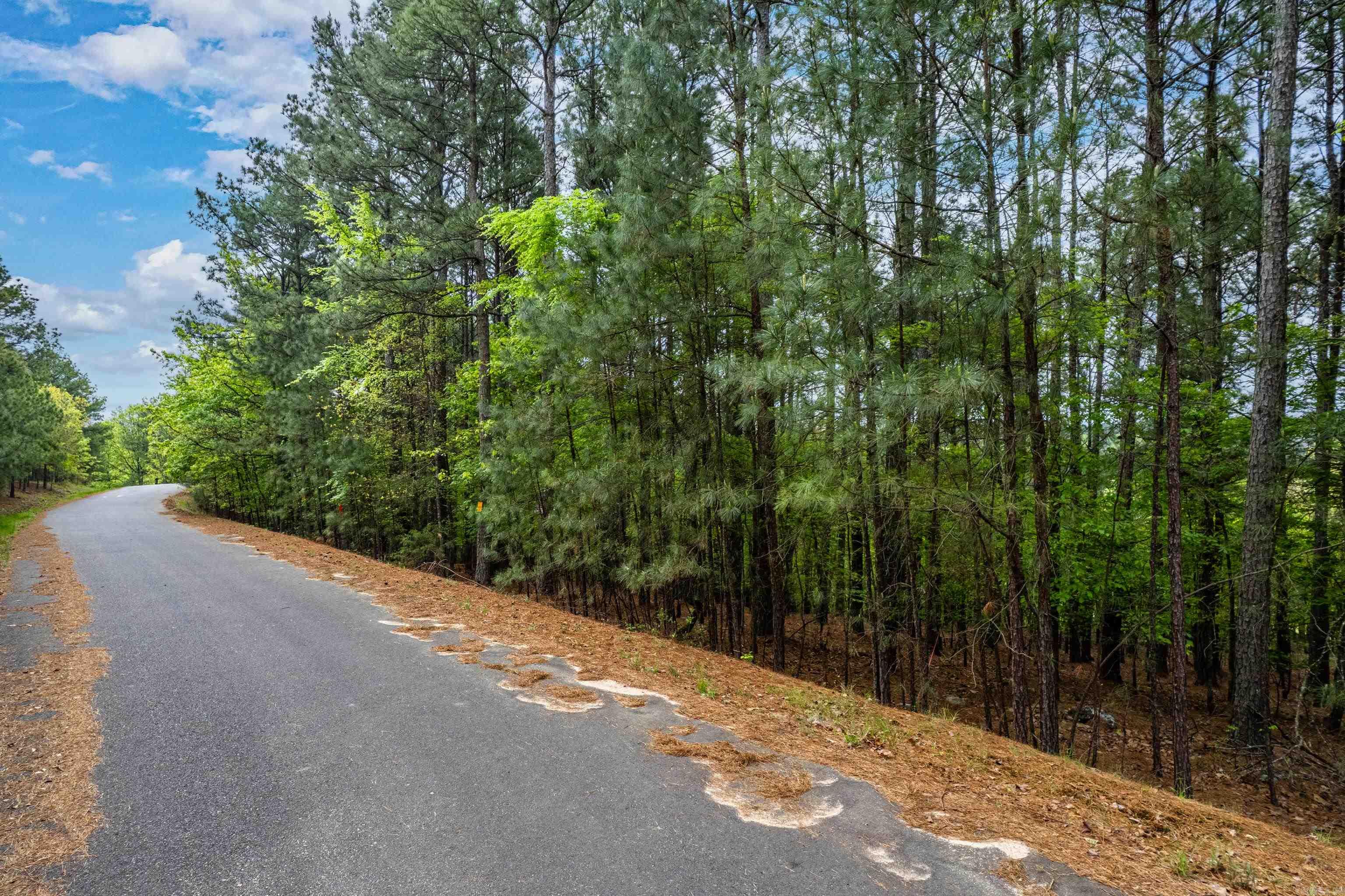 52  Altiplano  Hot Springs Village, AR