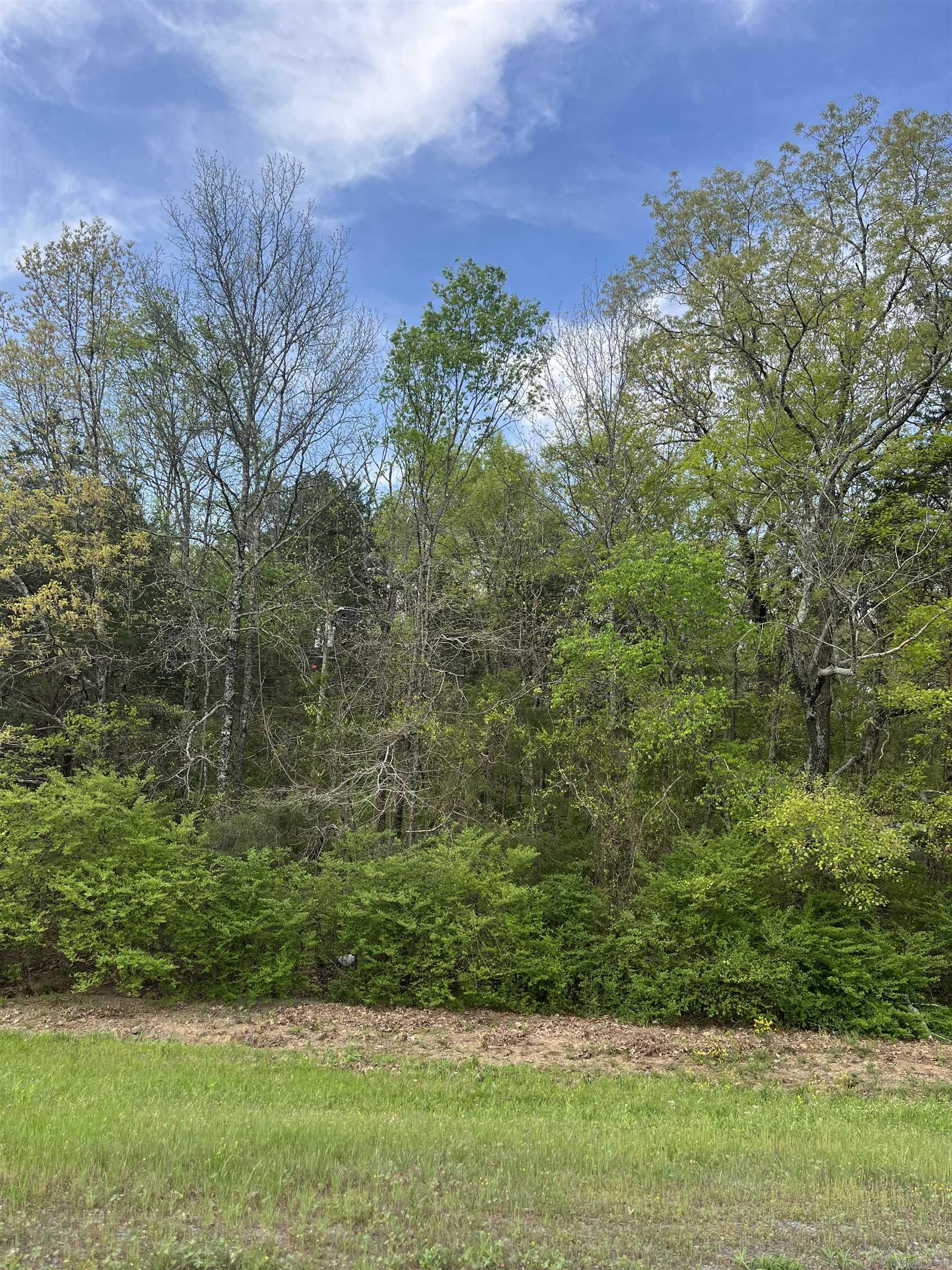 Lot 3  Lynch Rd.  Clinton, AR
