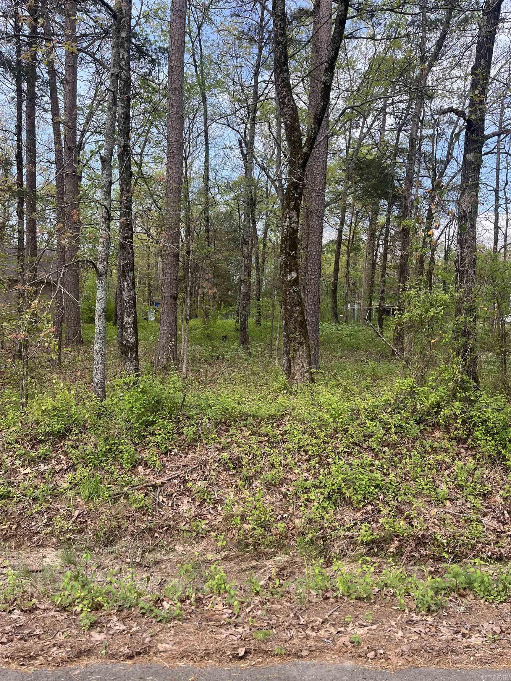 Lot 3  Lynch Rd.  Clinton, AR