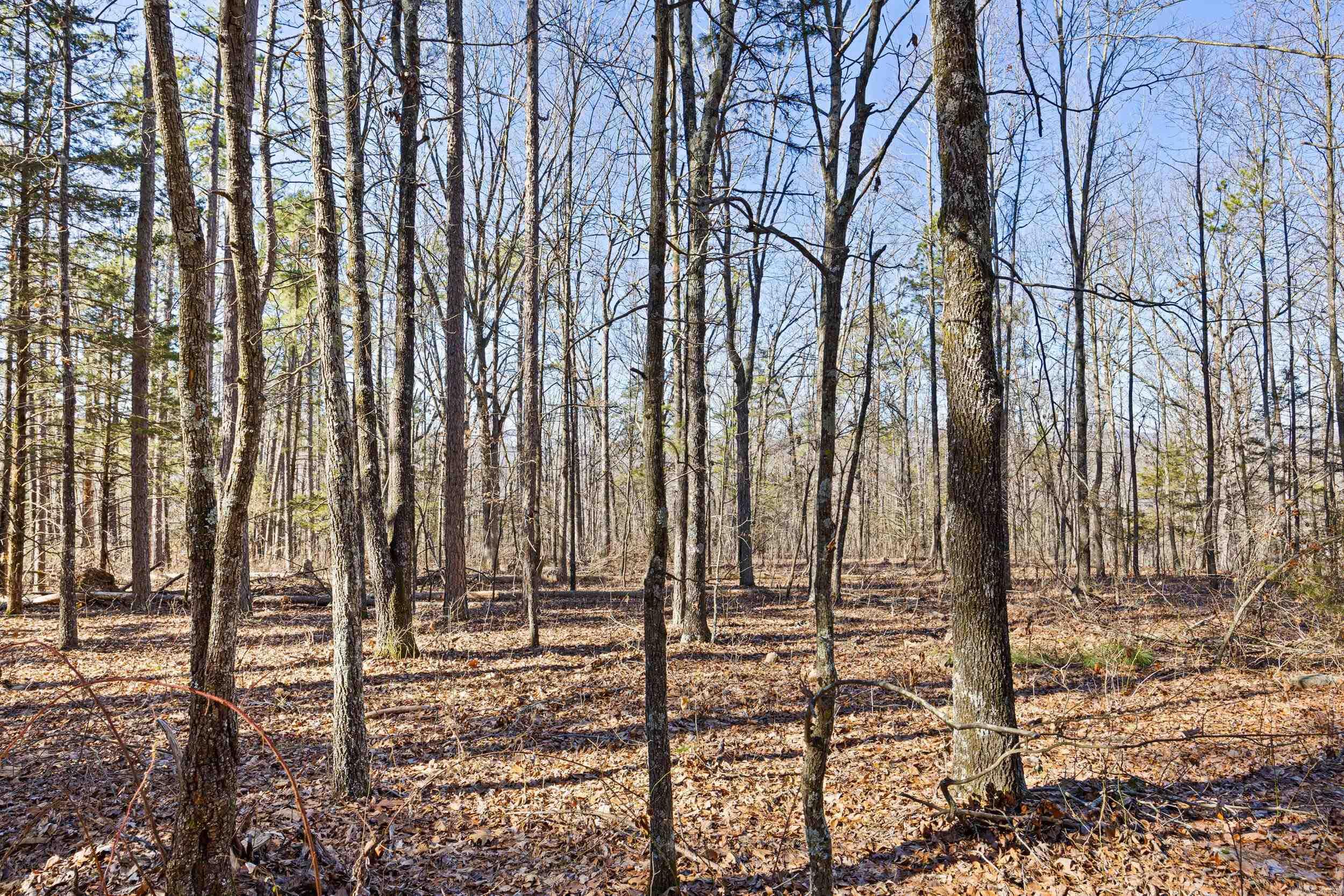6127 Dabney Road Jerusalem, AR 72080