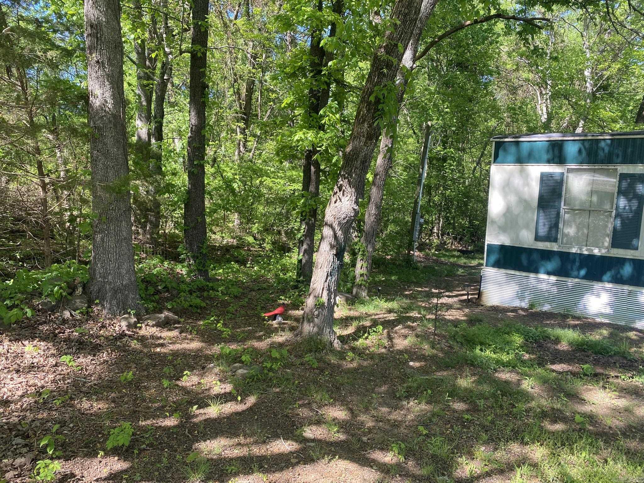 22560  Highway 14  Mountain View, AR