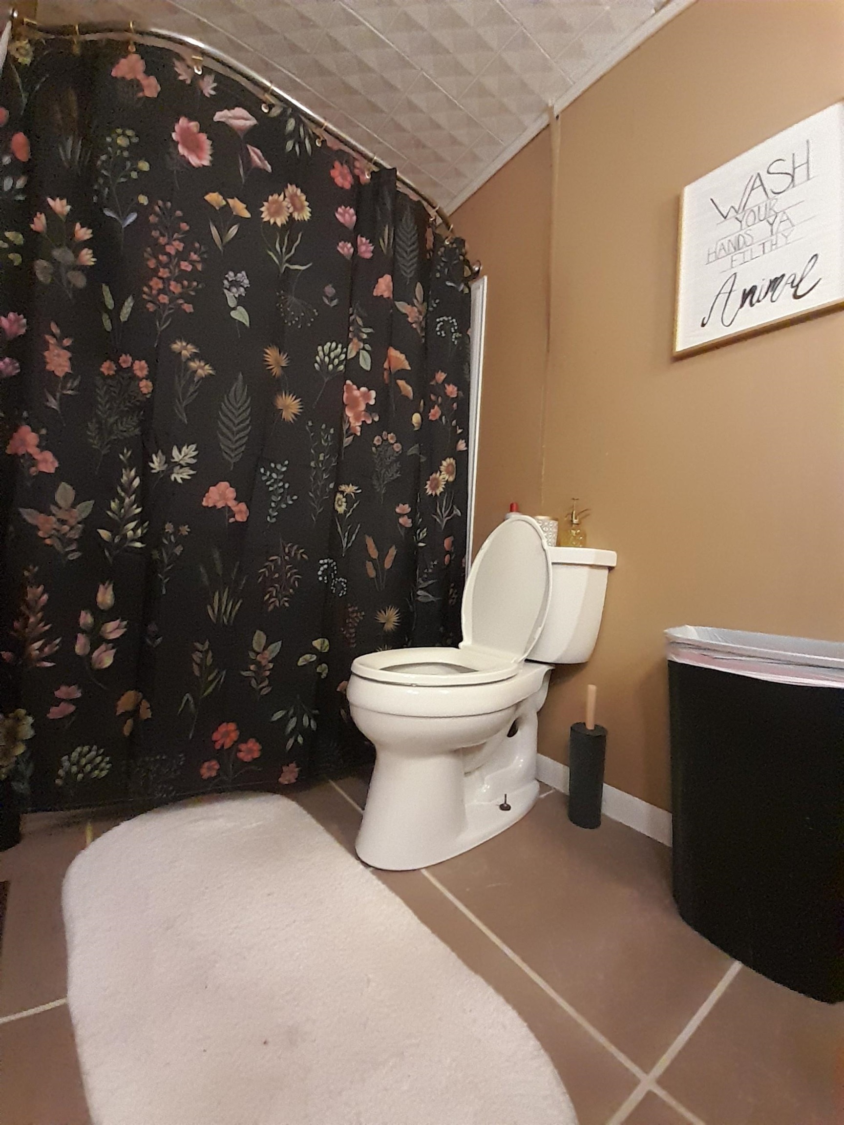 13321  AR-115  Maynard, AR