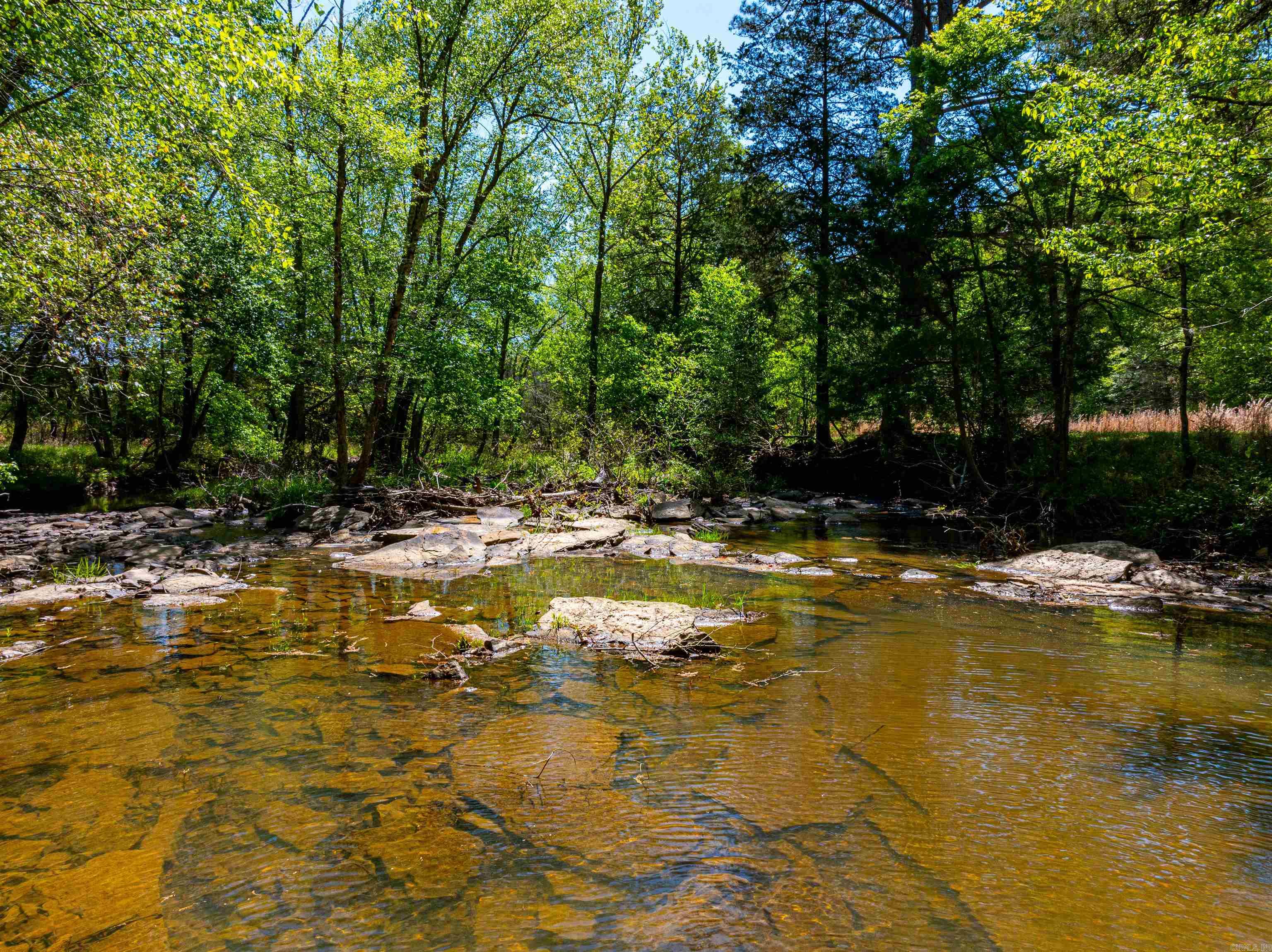 0  Charolais Ln  Bee Branch, AR