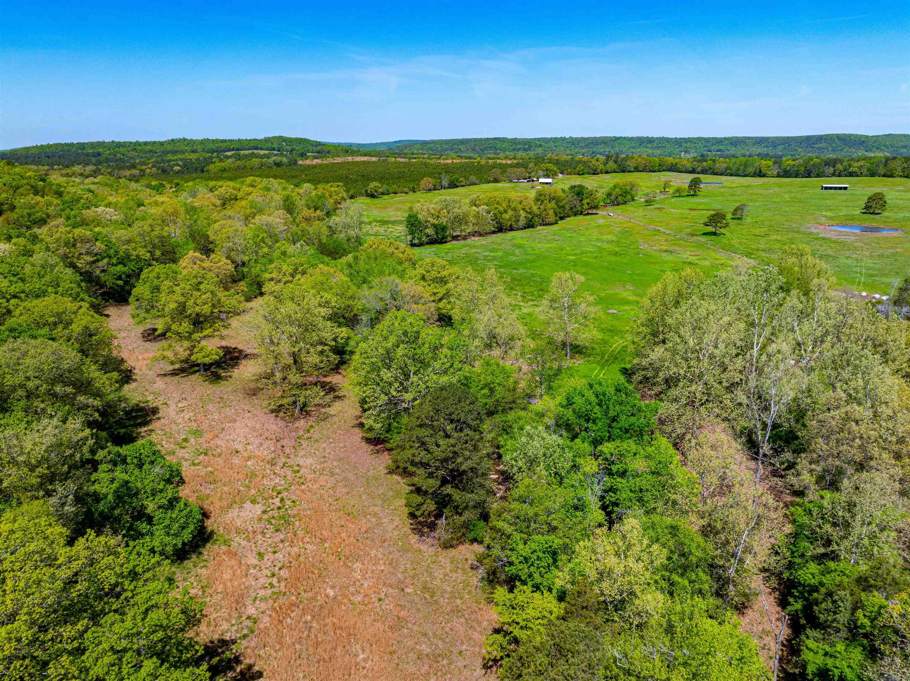 0  Charolais Ln  Bee Branch, AR