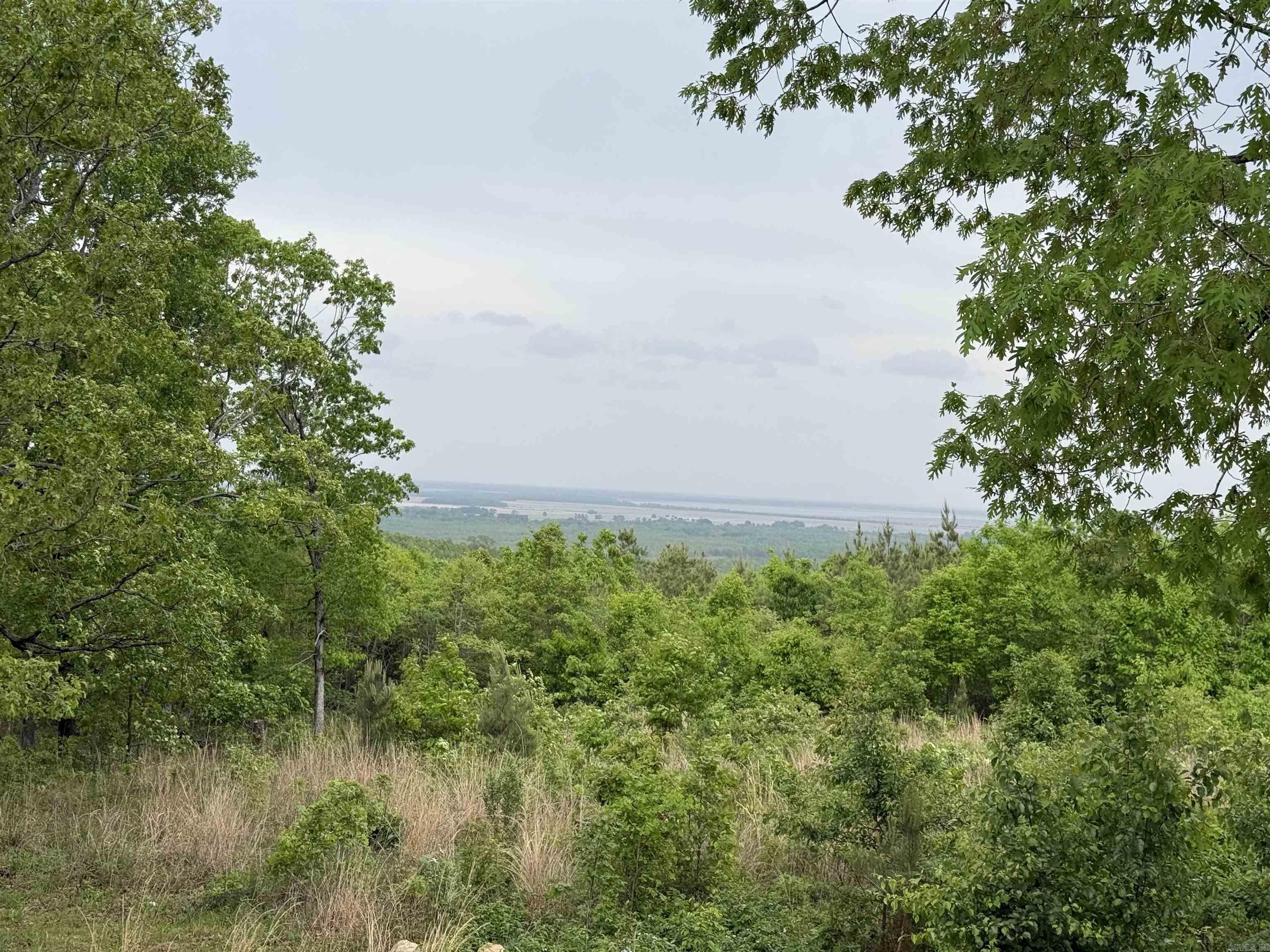 175  Goldmine  Bradford, AR