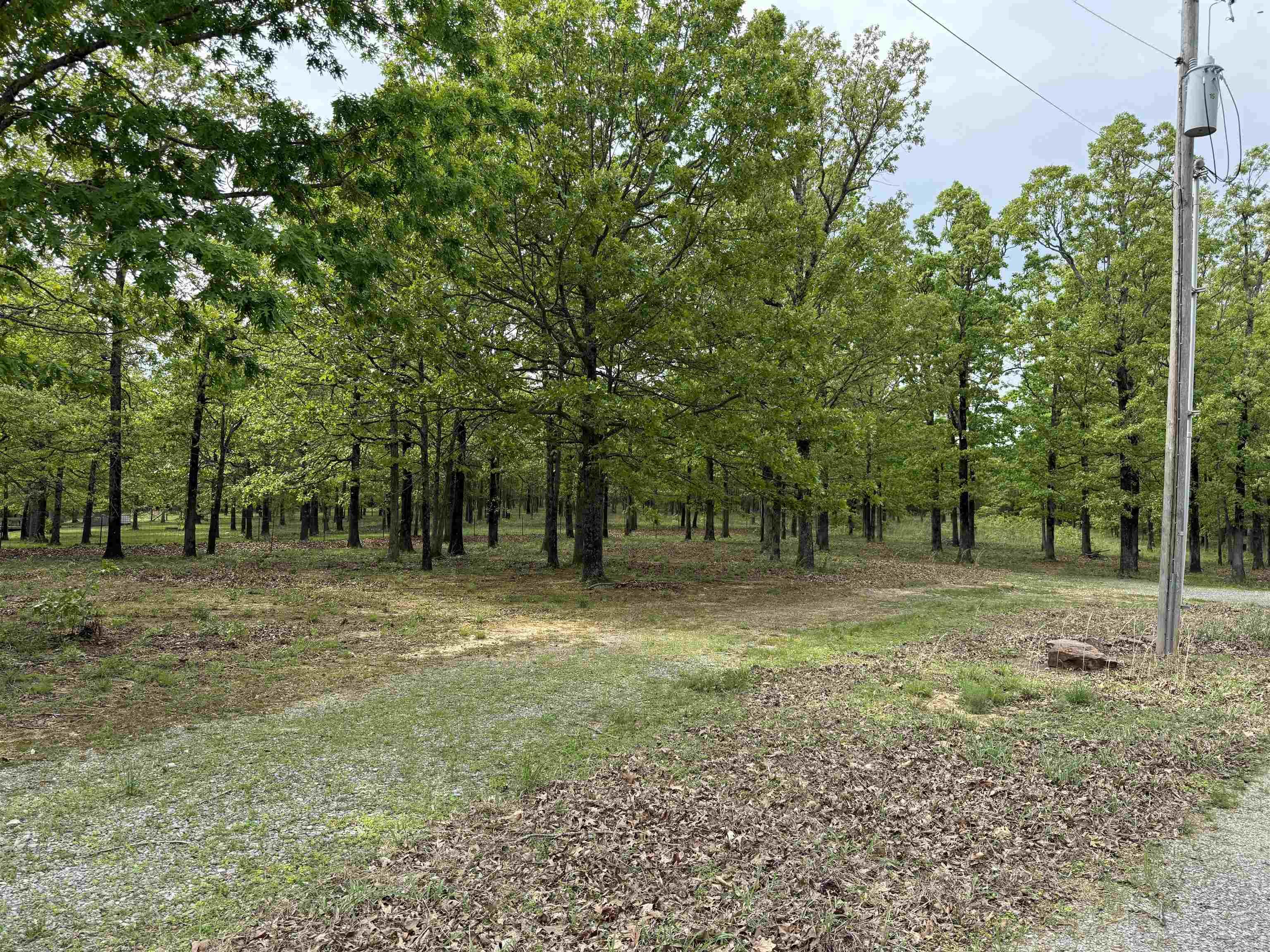 175  Goldmine  Bradford, AR