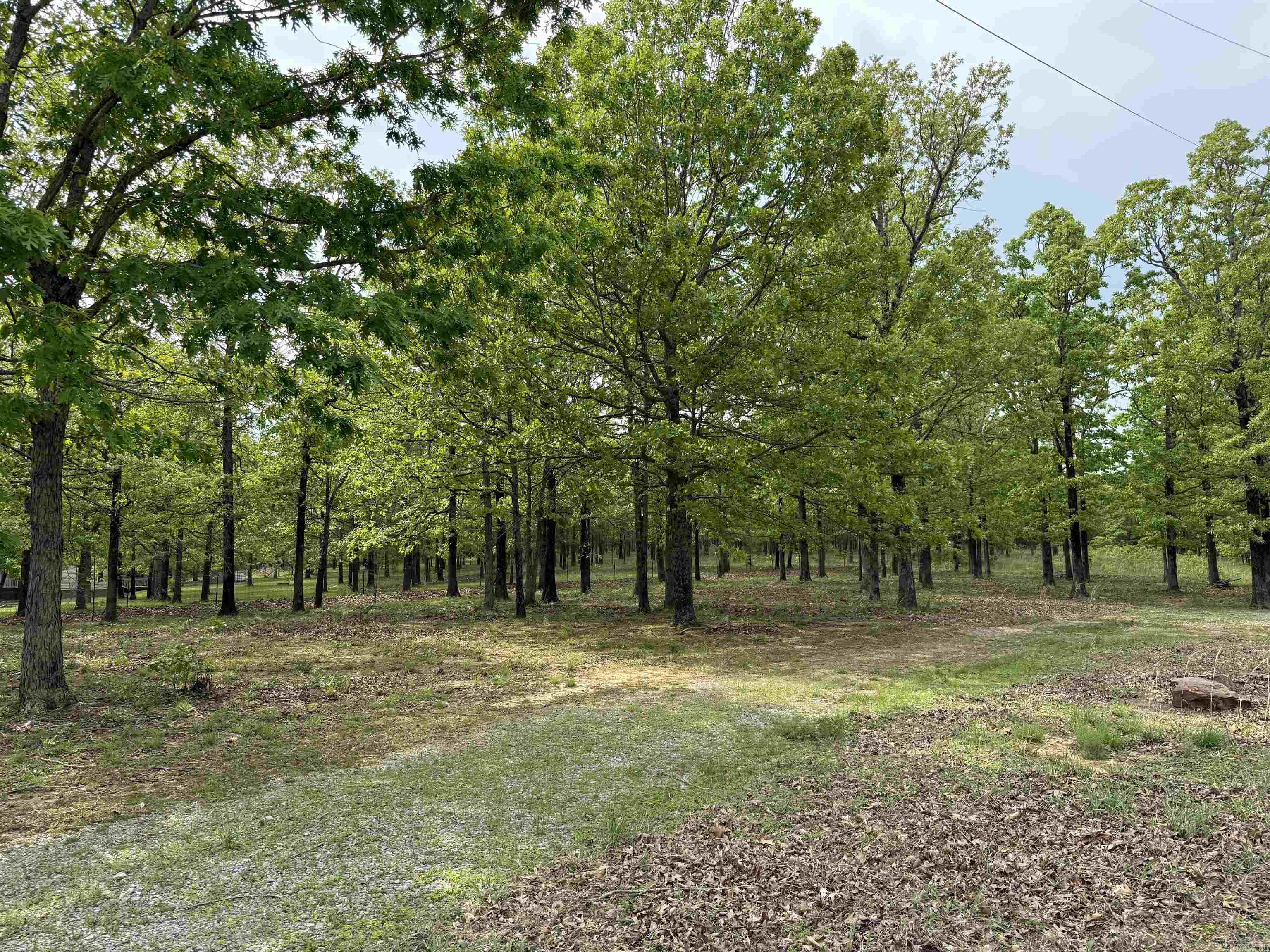 175  Goldmine  Bradford, AR