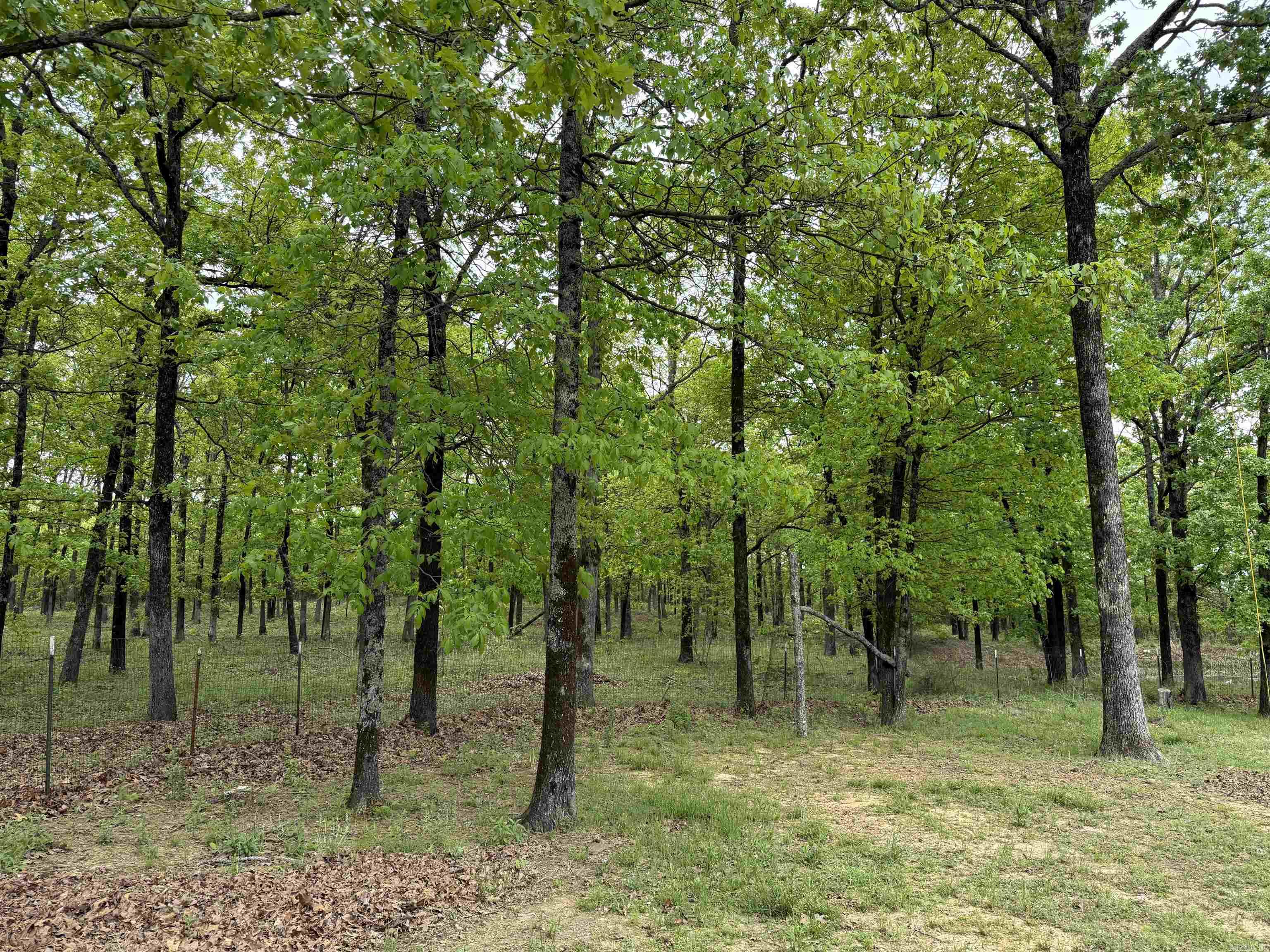 175  Goldmine  Bradford, AR