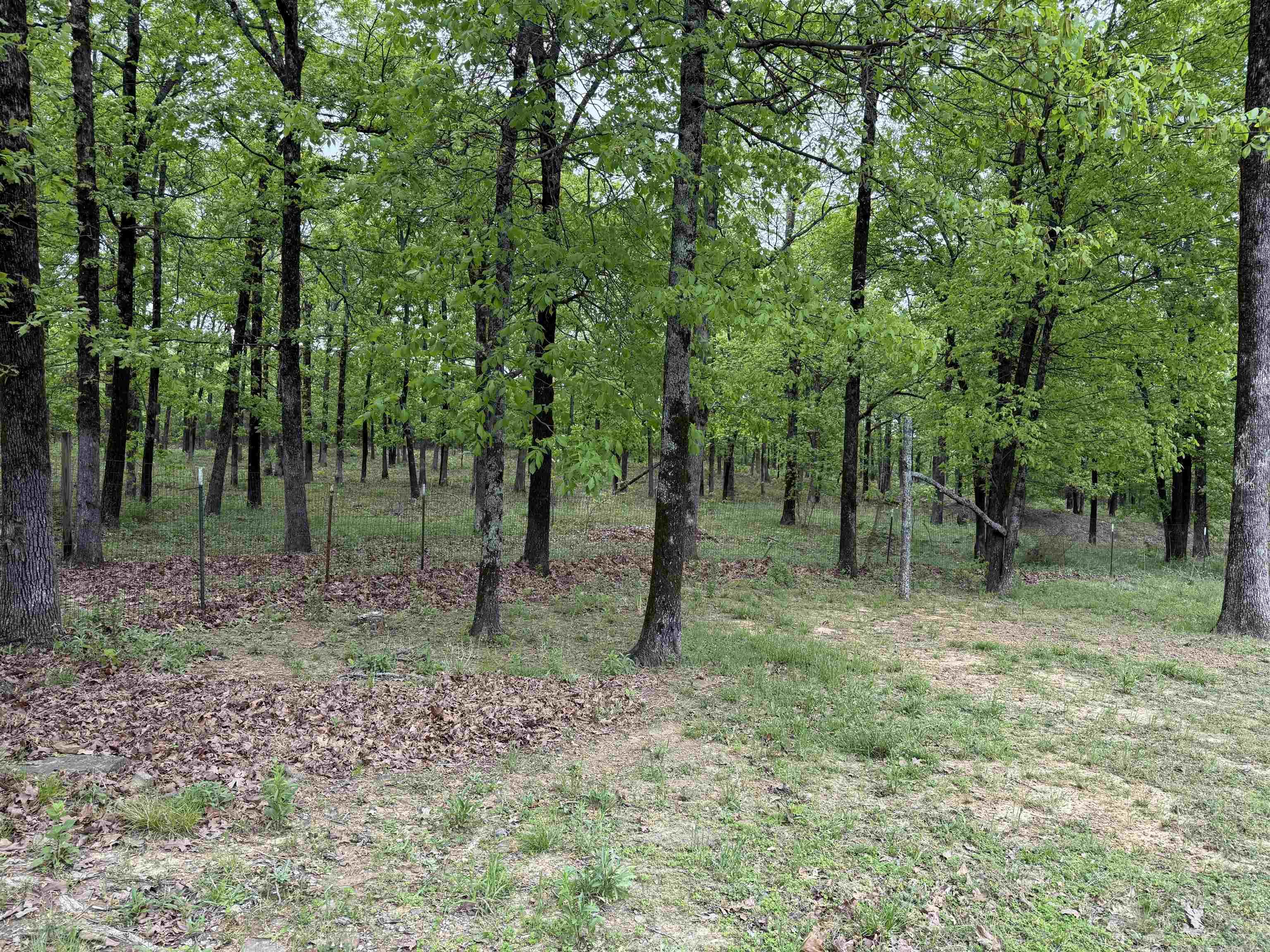 175  Goldmine  Bradford, AR