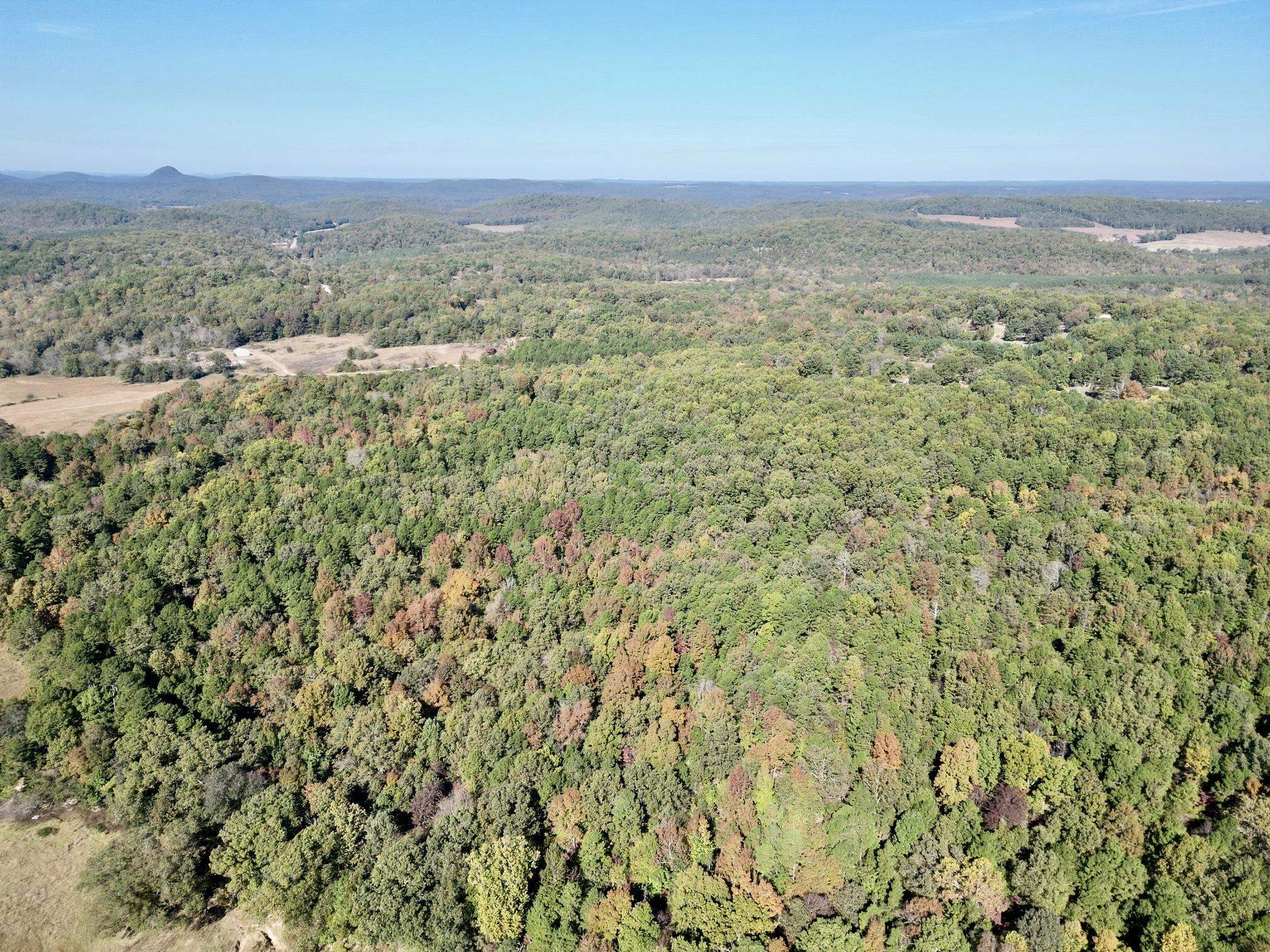 1660  Knob Creek Road  Melbourne, AR