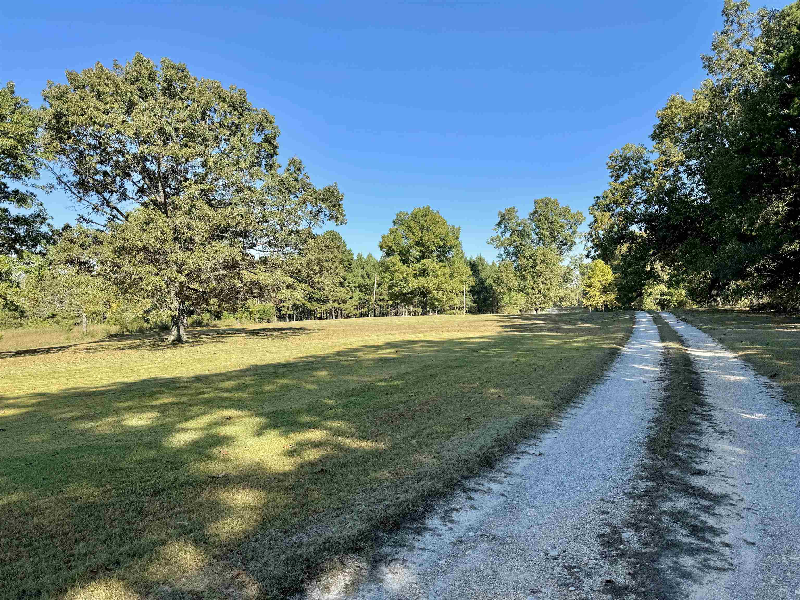 1660 Knob Creek Road  Melbourne, AR