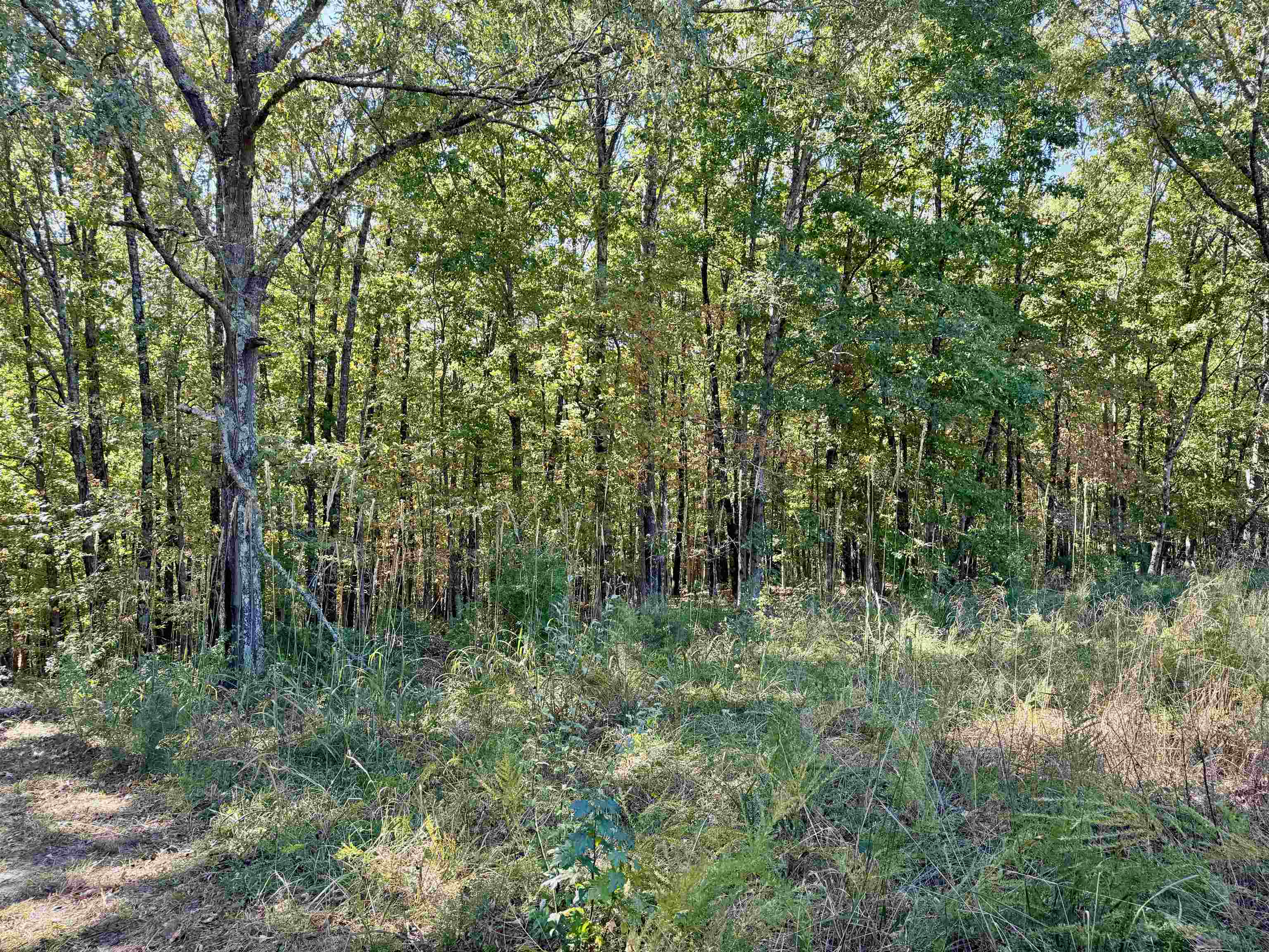 1660  Knob Creek Road  Melbourne, AR