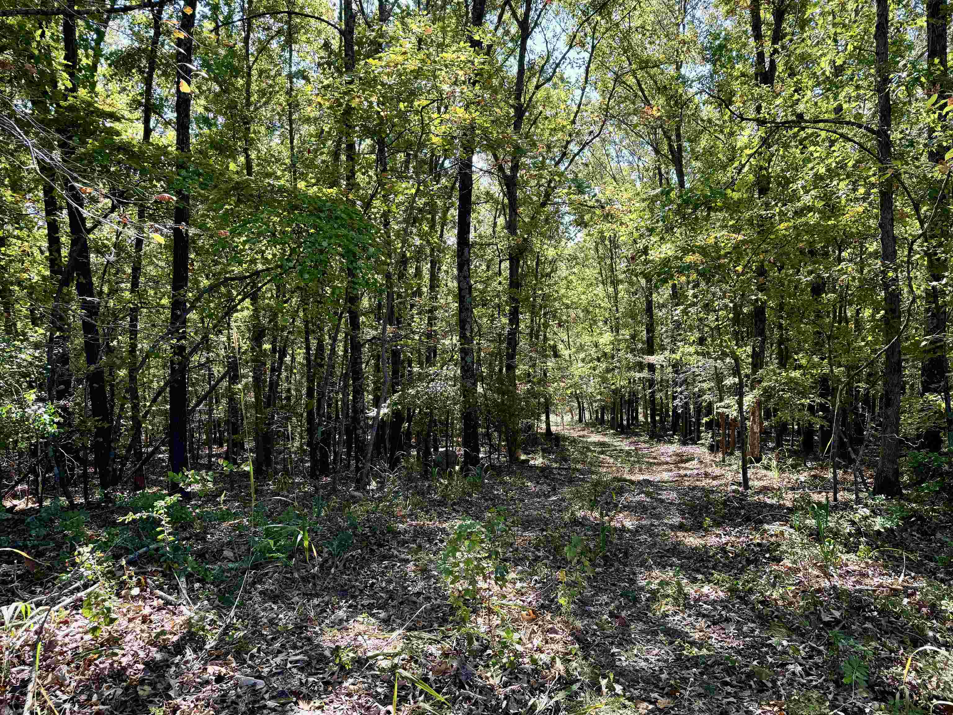 1660  Knob Creek Road  Melbourne, AR