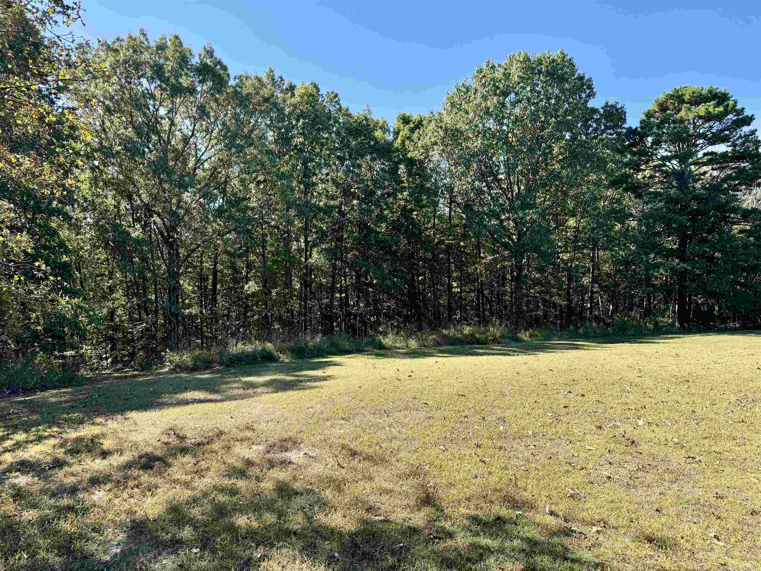 1660  Knob Creek Road  Melbourne, AR