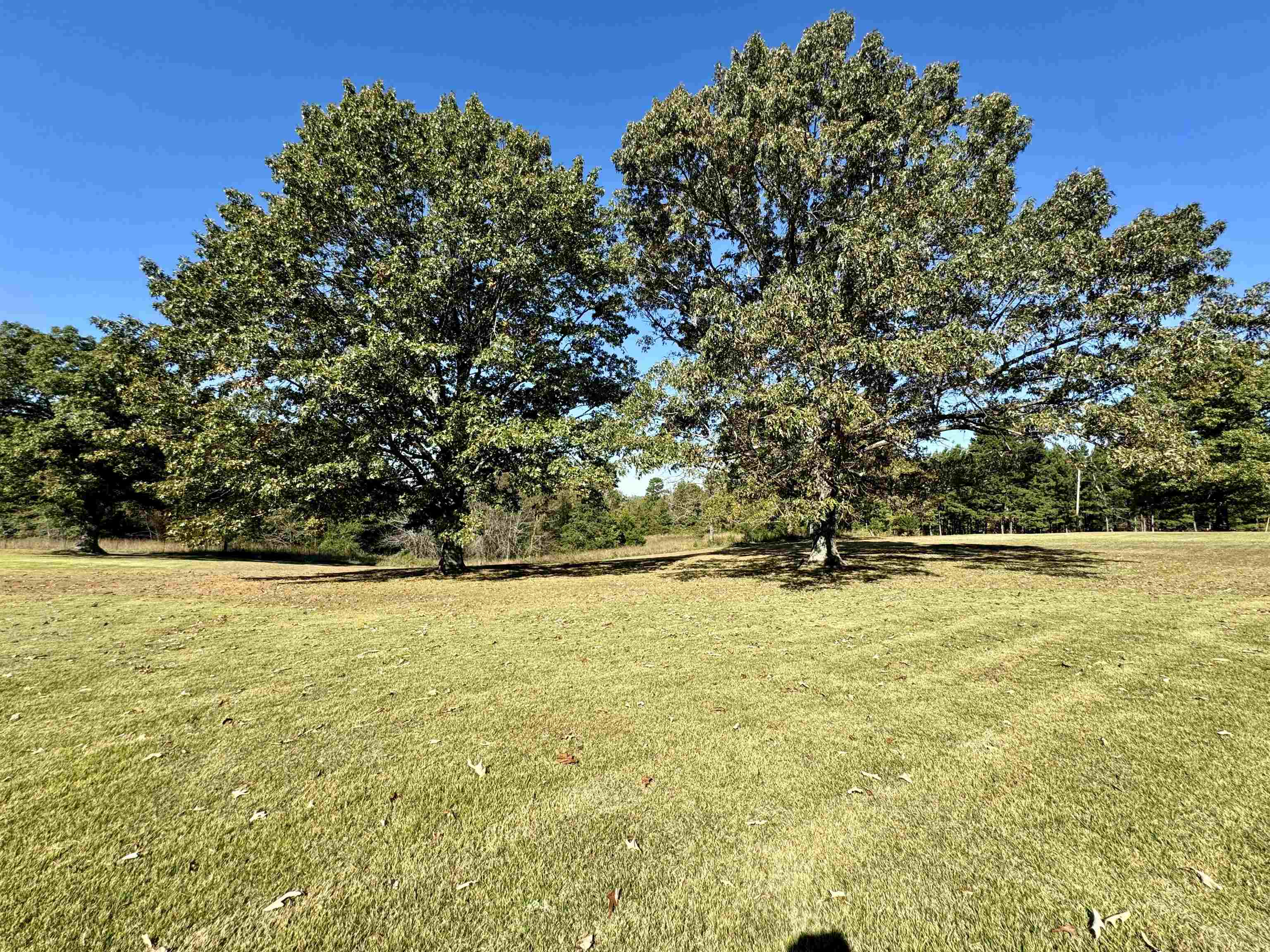1660  Knob Creek Road  Melbourne, AR