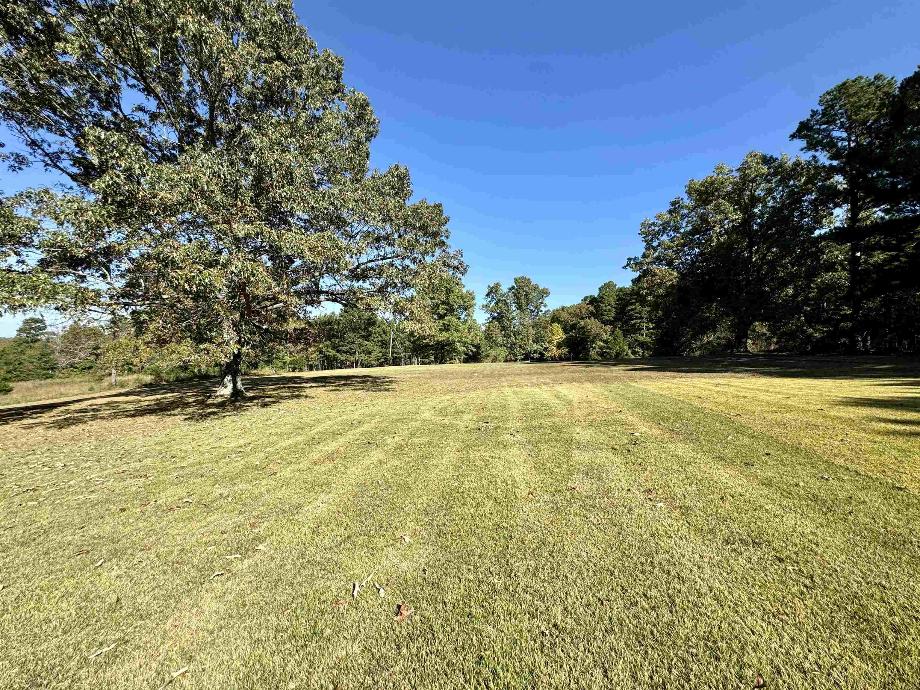 1660  Knob Creek Road  Melbourne, AR