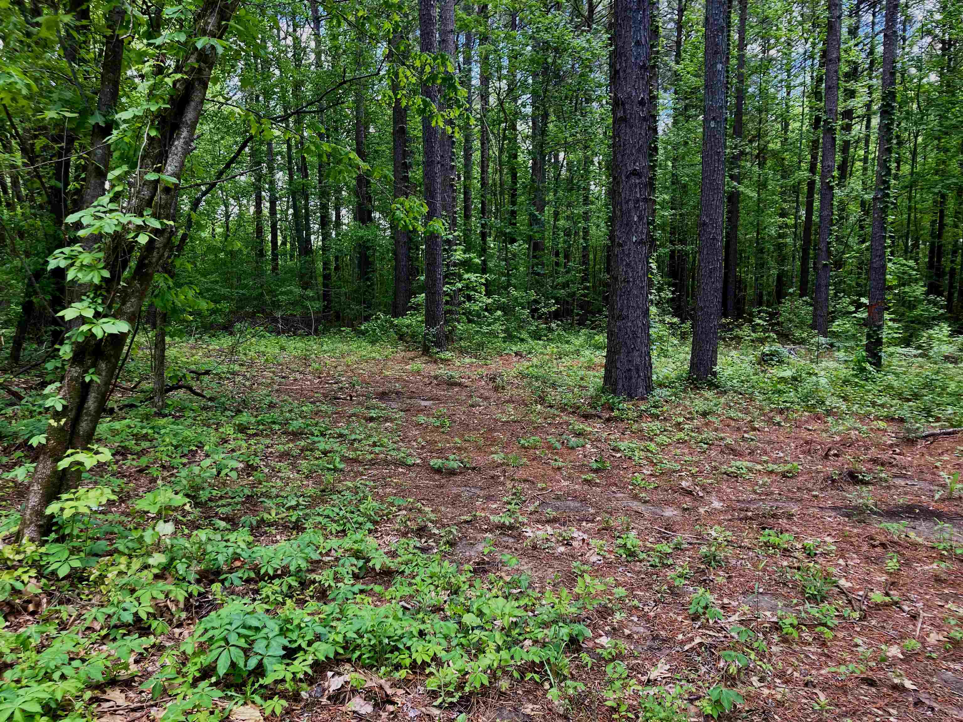 12  bay Ln  Harrisburg, AR