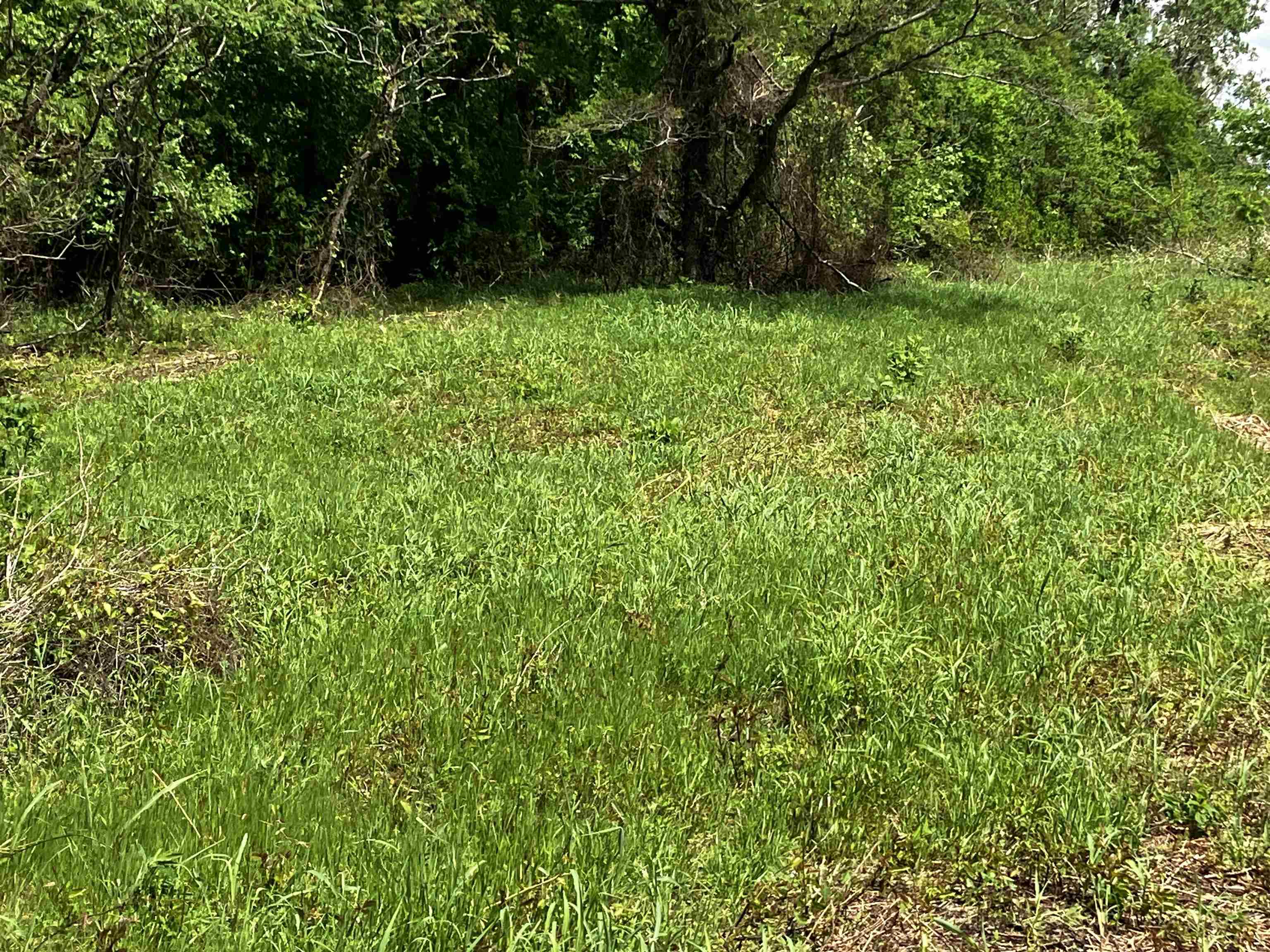 12  bay Ln  Harrisburg, AR