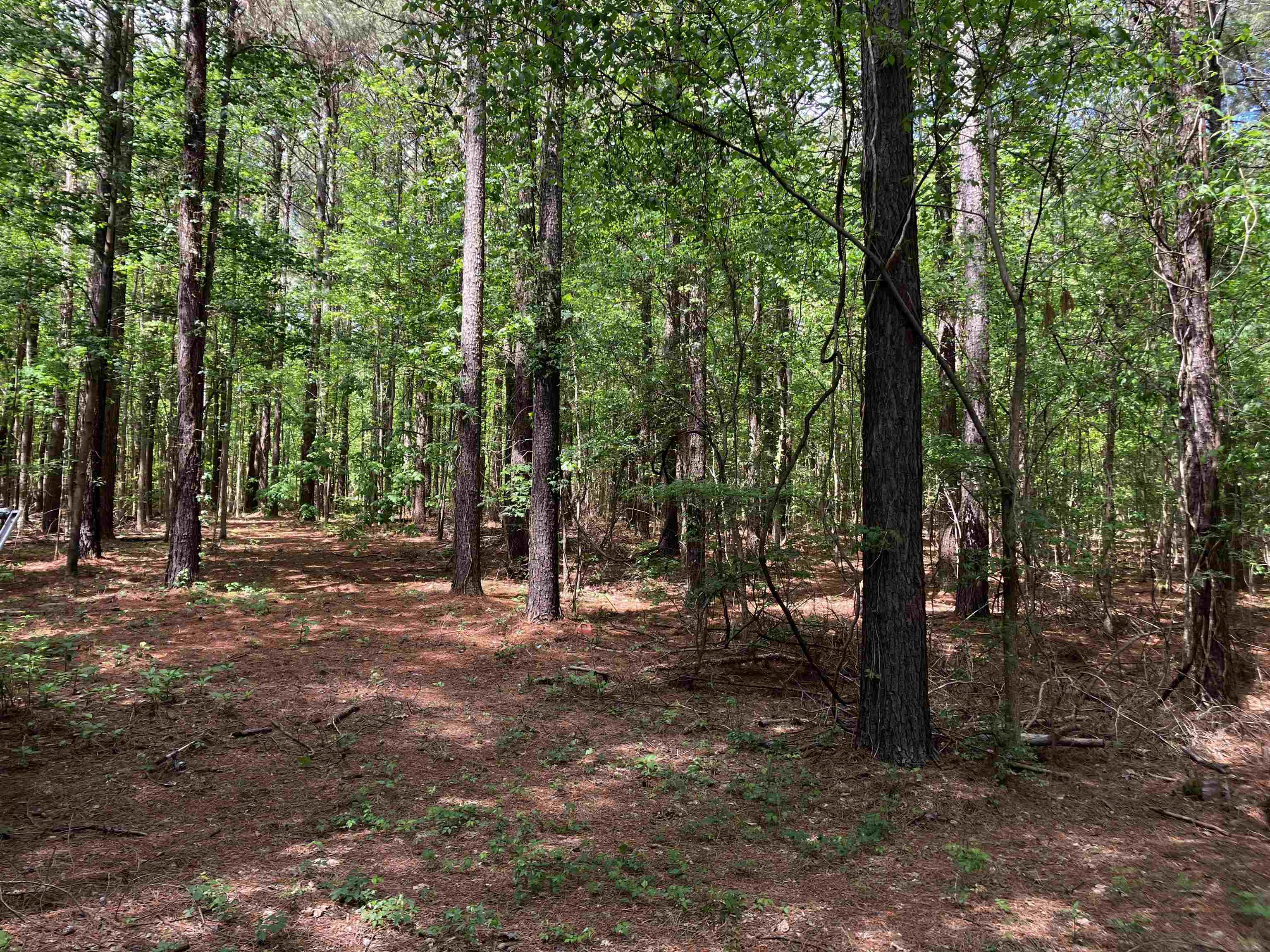 12  bay Ln  Harrisburg, AR