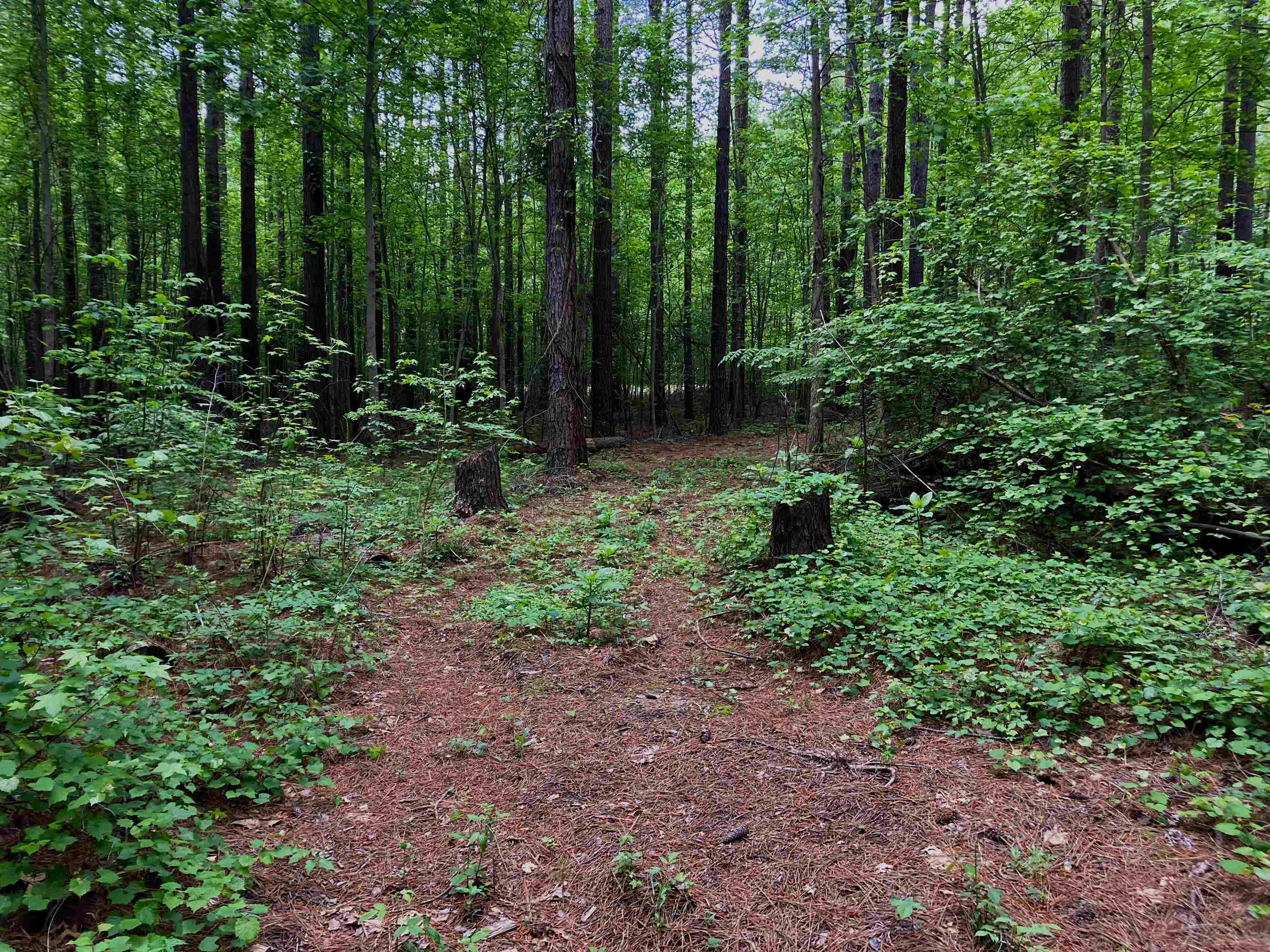 12  bay Ln  Harrisburg, AR