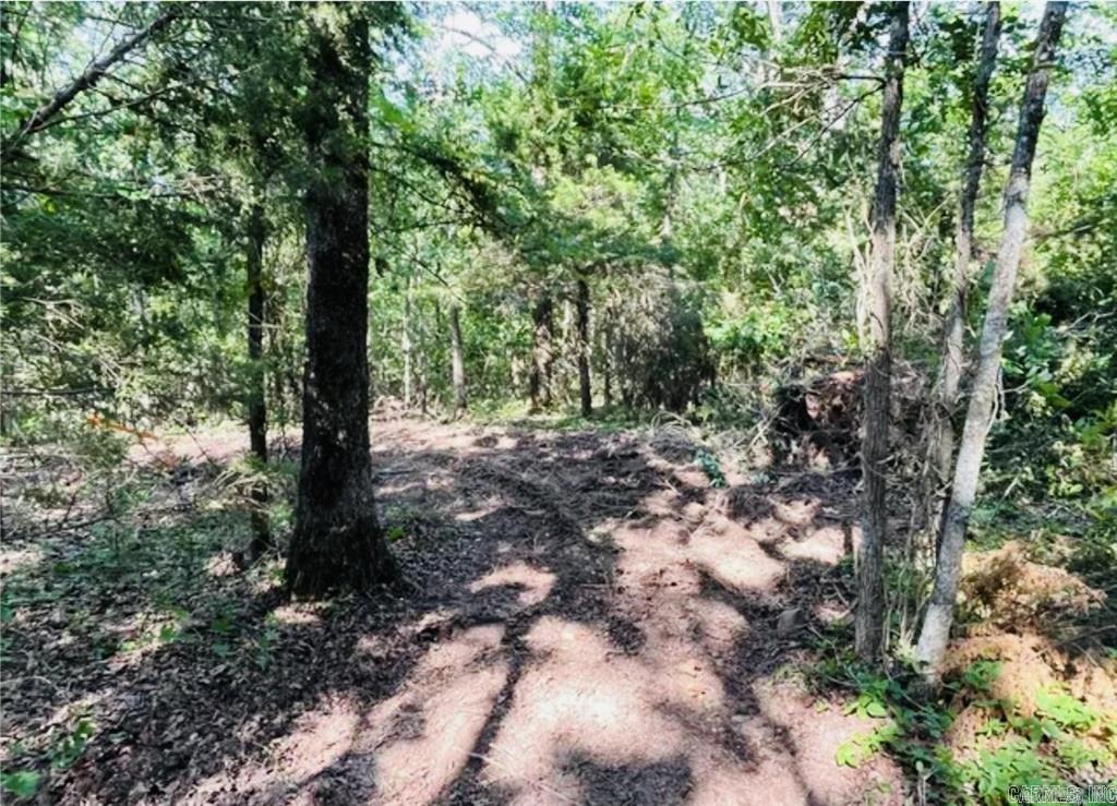 00 S 65 (w/Range St Easement Access)  Marshall, AR
