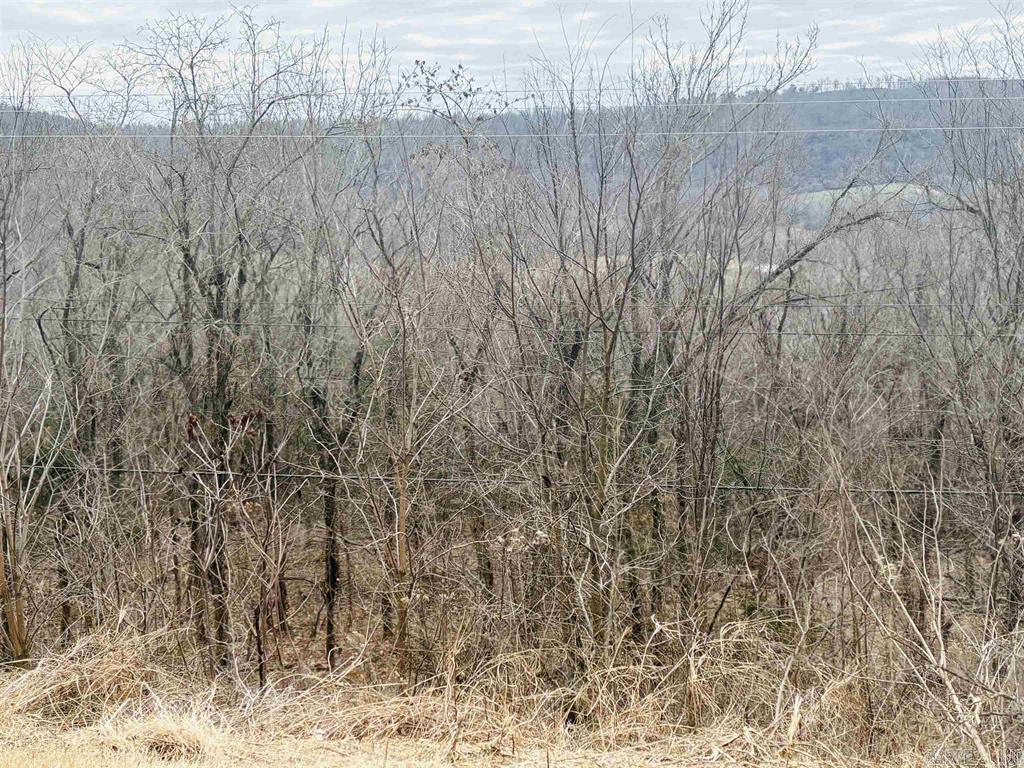 00 S 65 (w/Range St Easement Access)  Marshall, AR