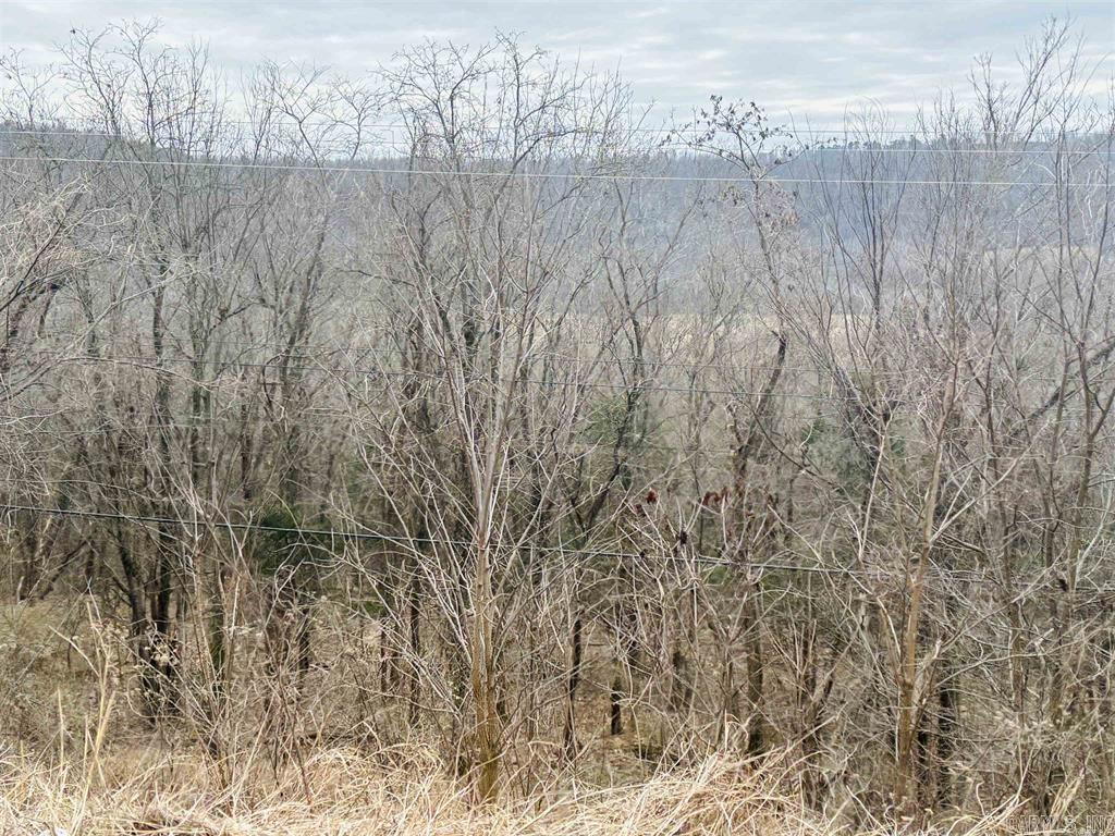 00 S 65 (w/Range St Easement Access)  Marshall, AR