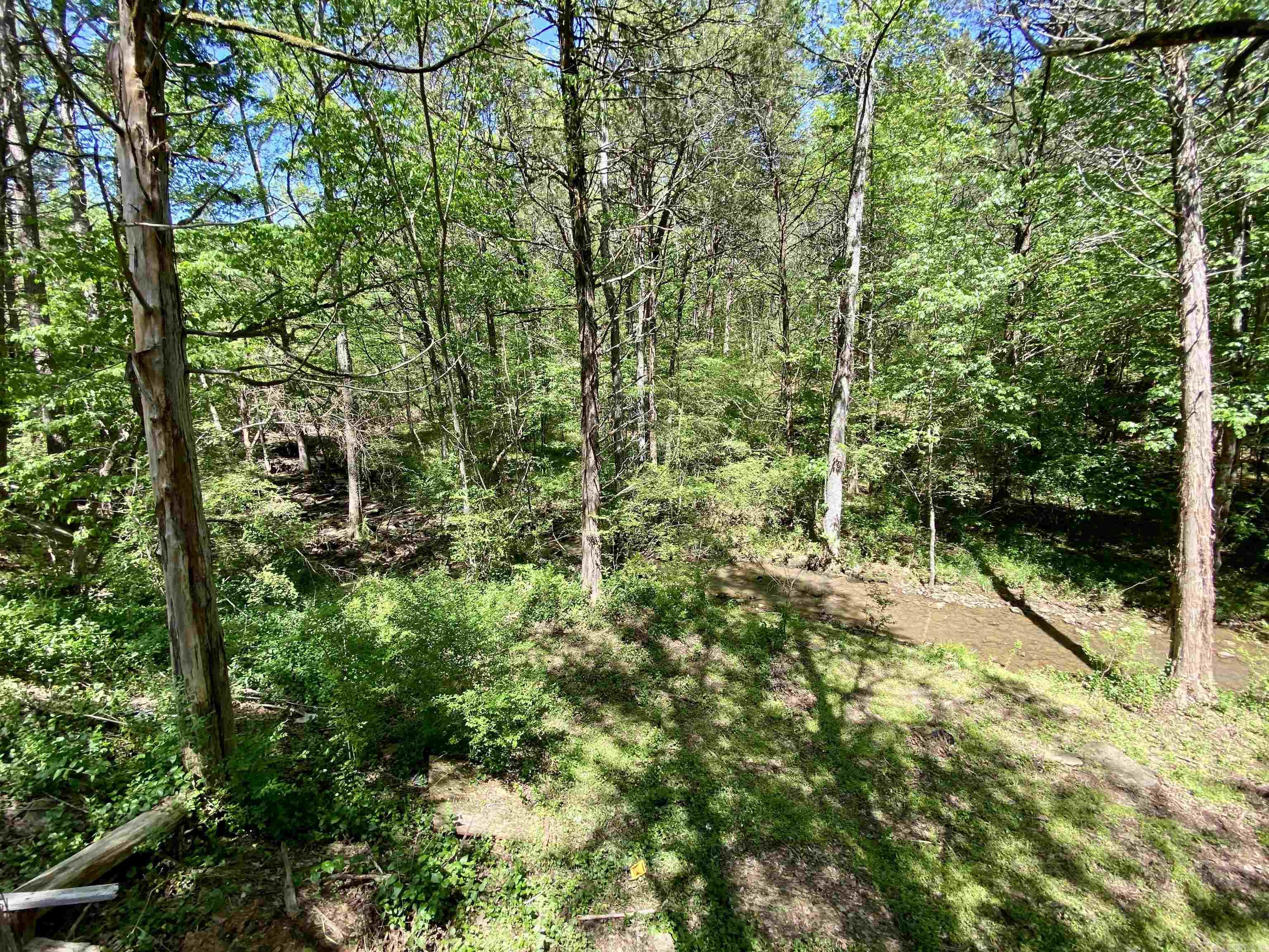 3609  Highway 103  Clarksville, AR