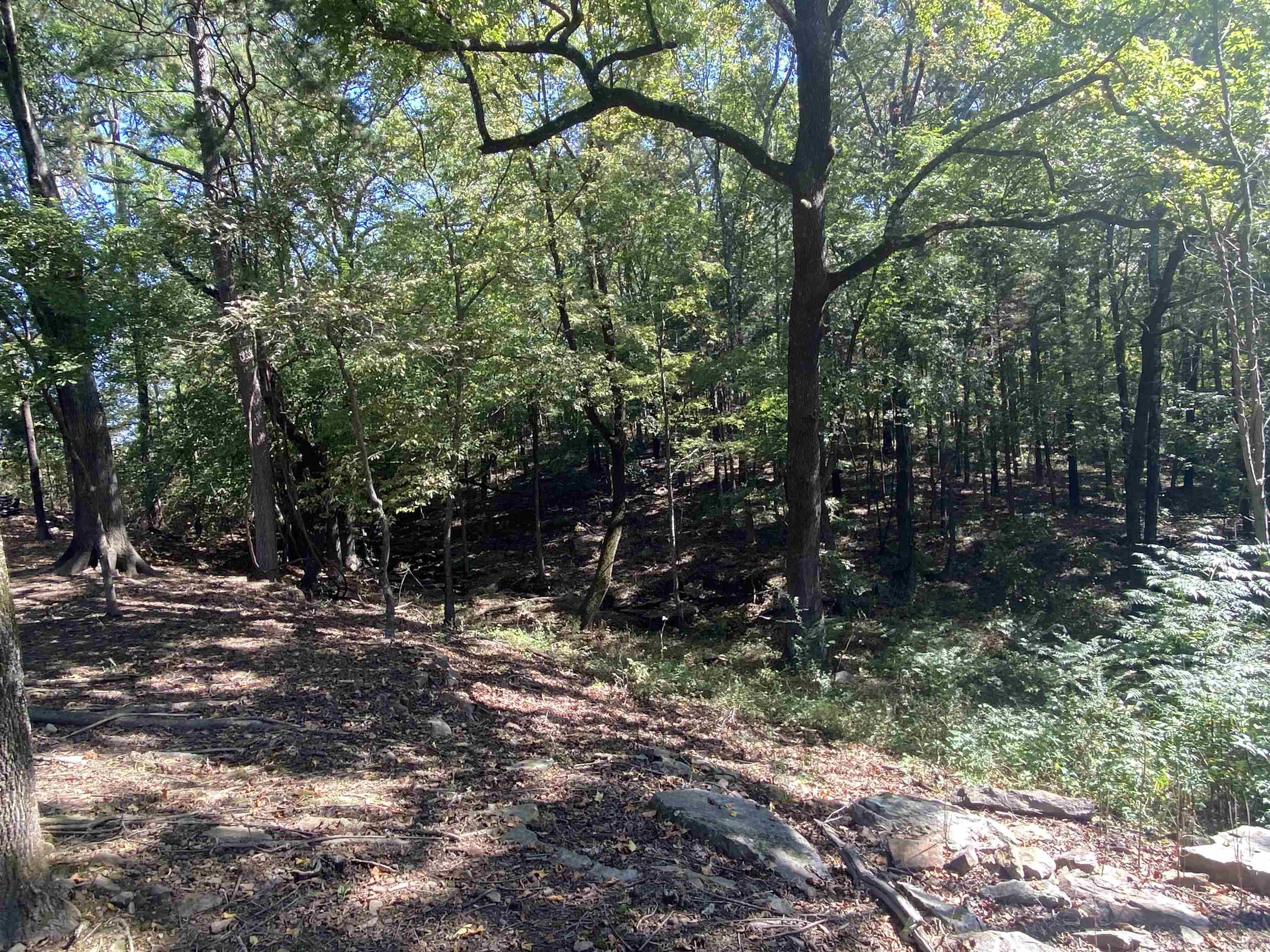 319  Rainbow  Heber Springs, AR