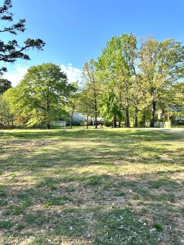 1008  Oak  Mountain View, AR